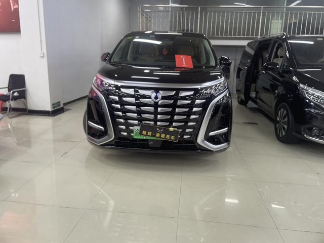 Denza D9 2025 imagem de carro #3