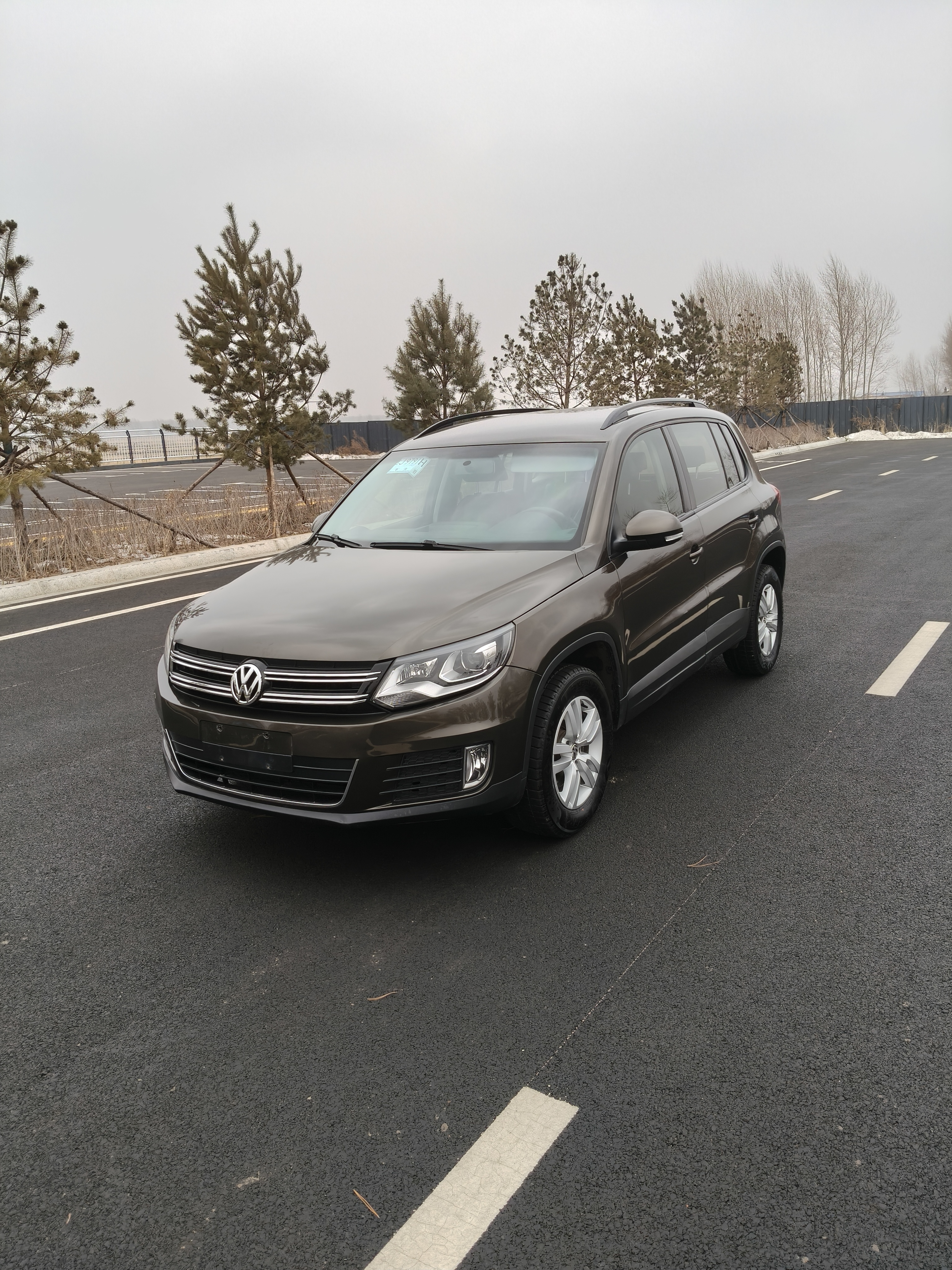 Volkswagen Tiguan 2016 immagine di auto #3