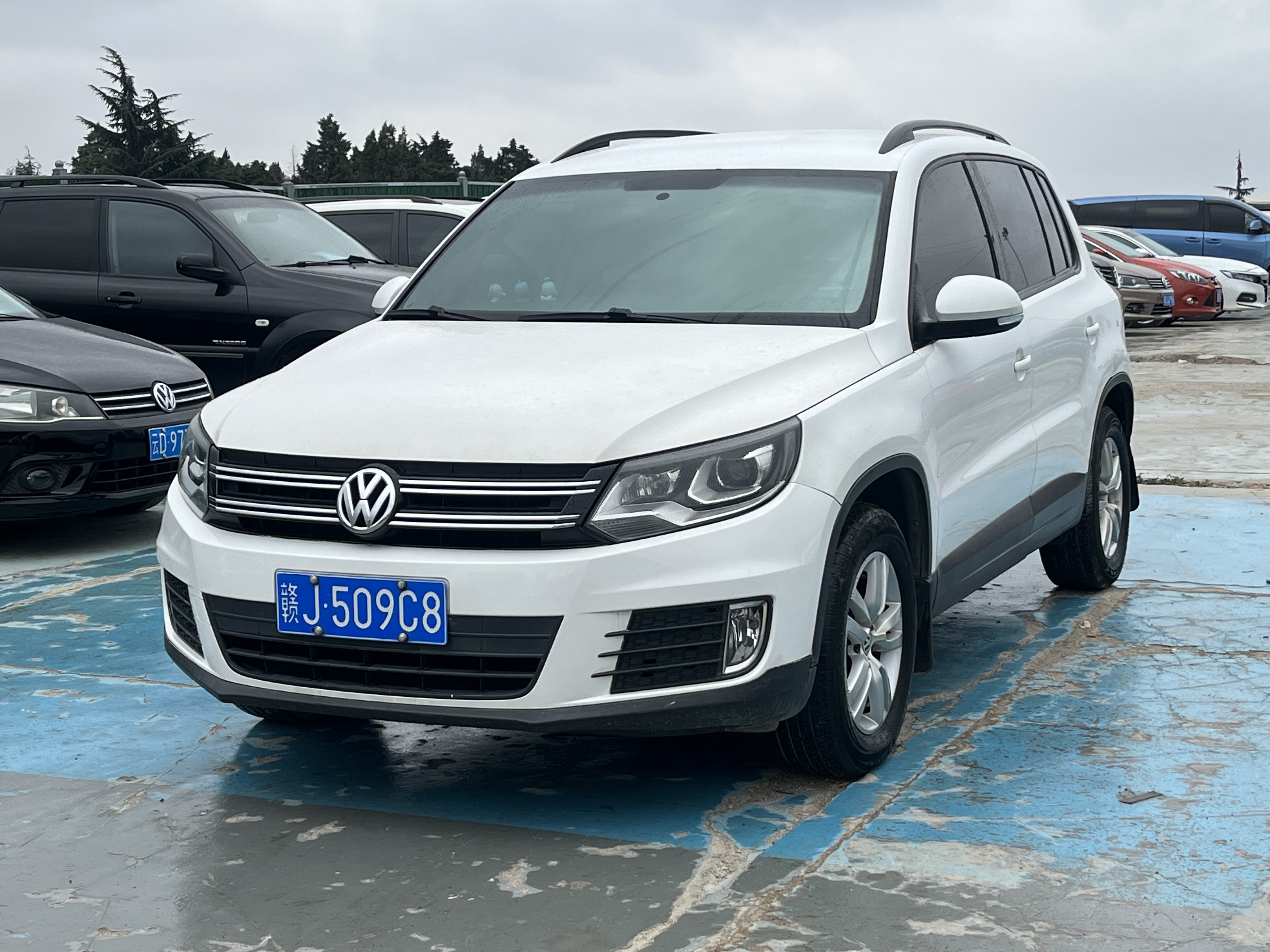 Volkswagen Tiguan 2016 car image #3