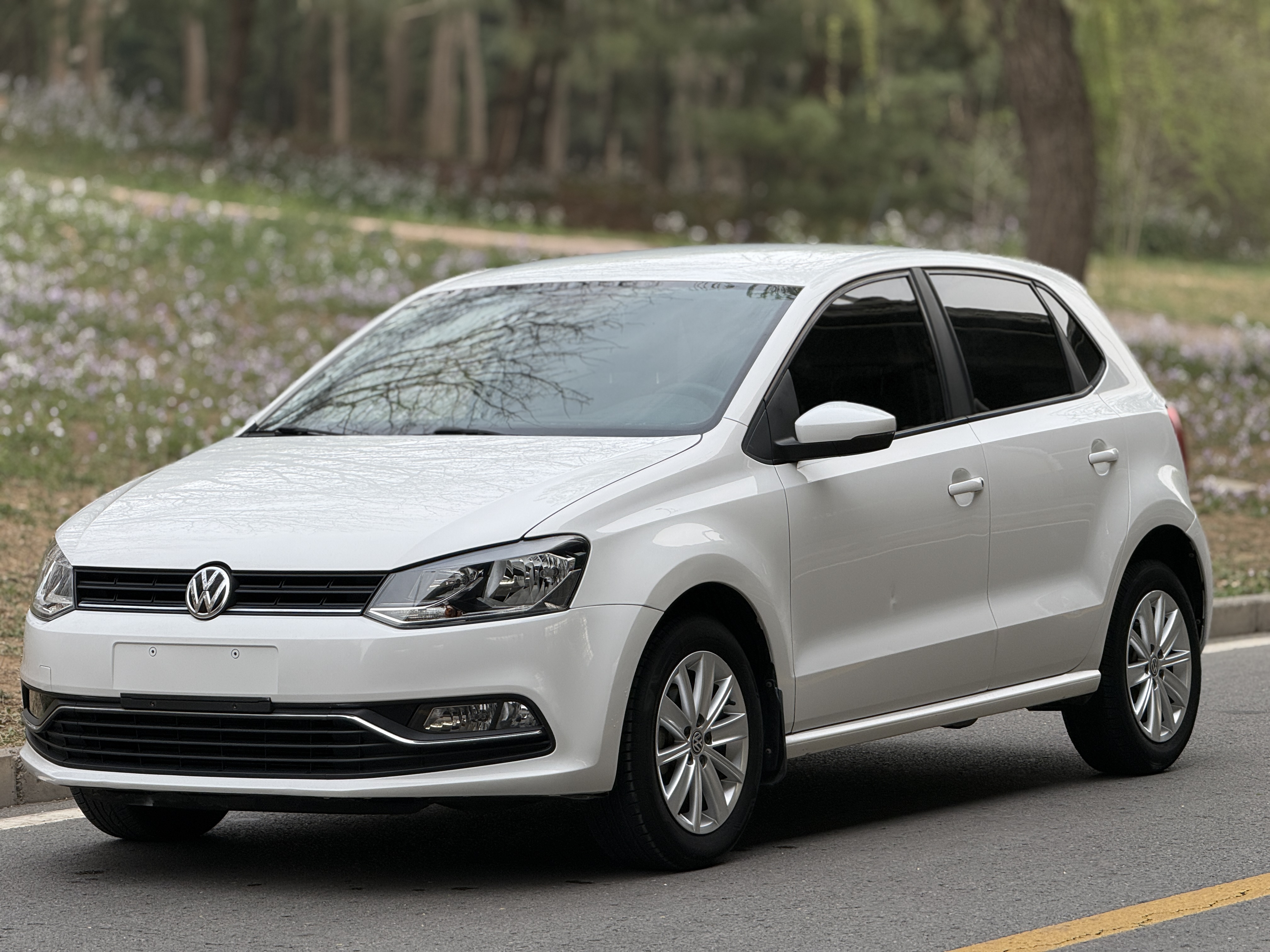 Polo 2016 car image #3
