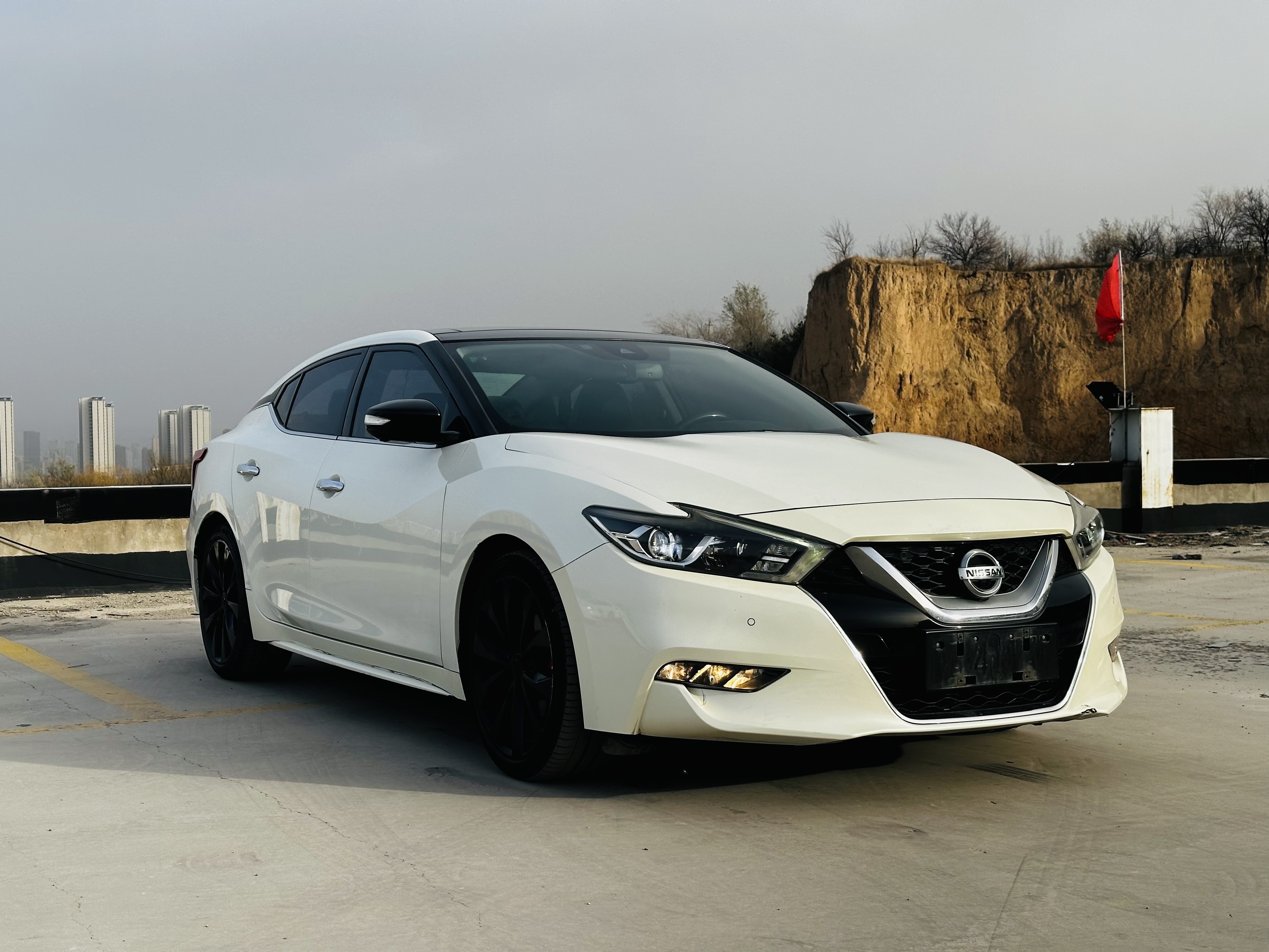 日产 西玛 2016 汽车图片 #3