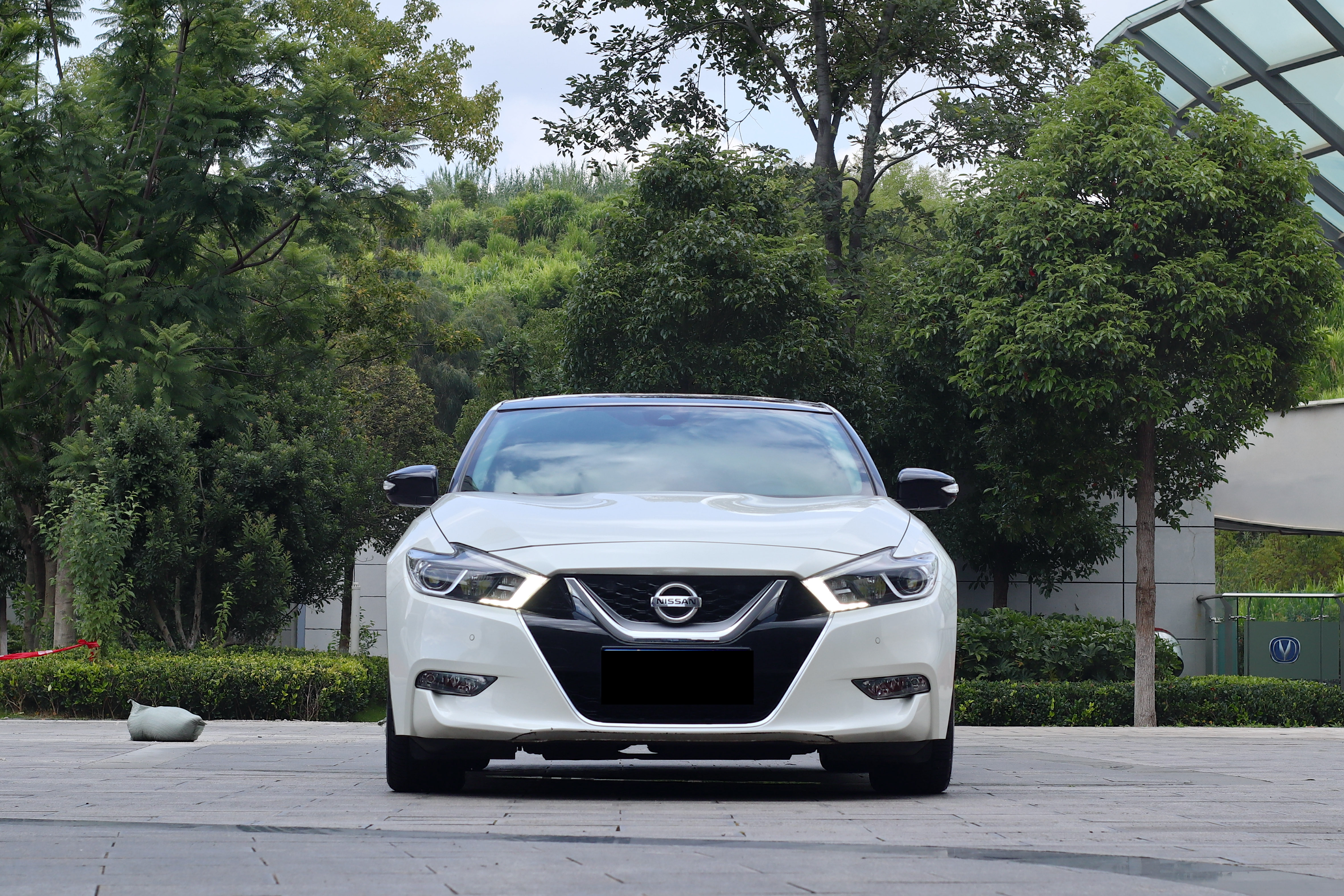 日产 西玛 2019 汽车图片 #3