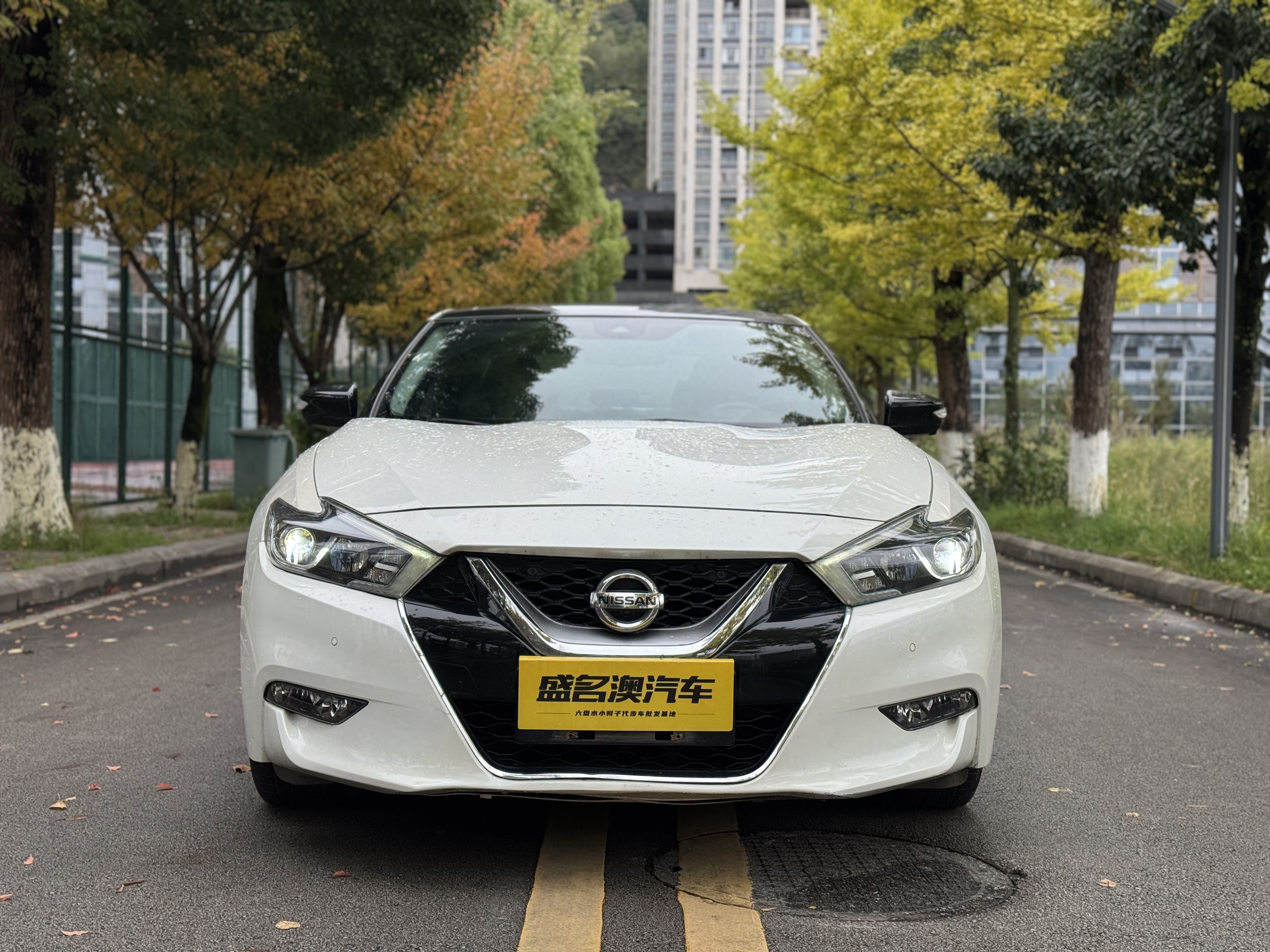 日产 西玛 2018 汽车图片 #3