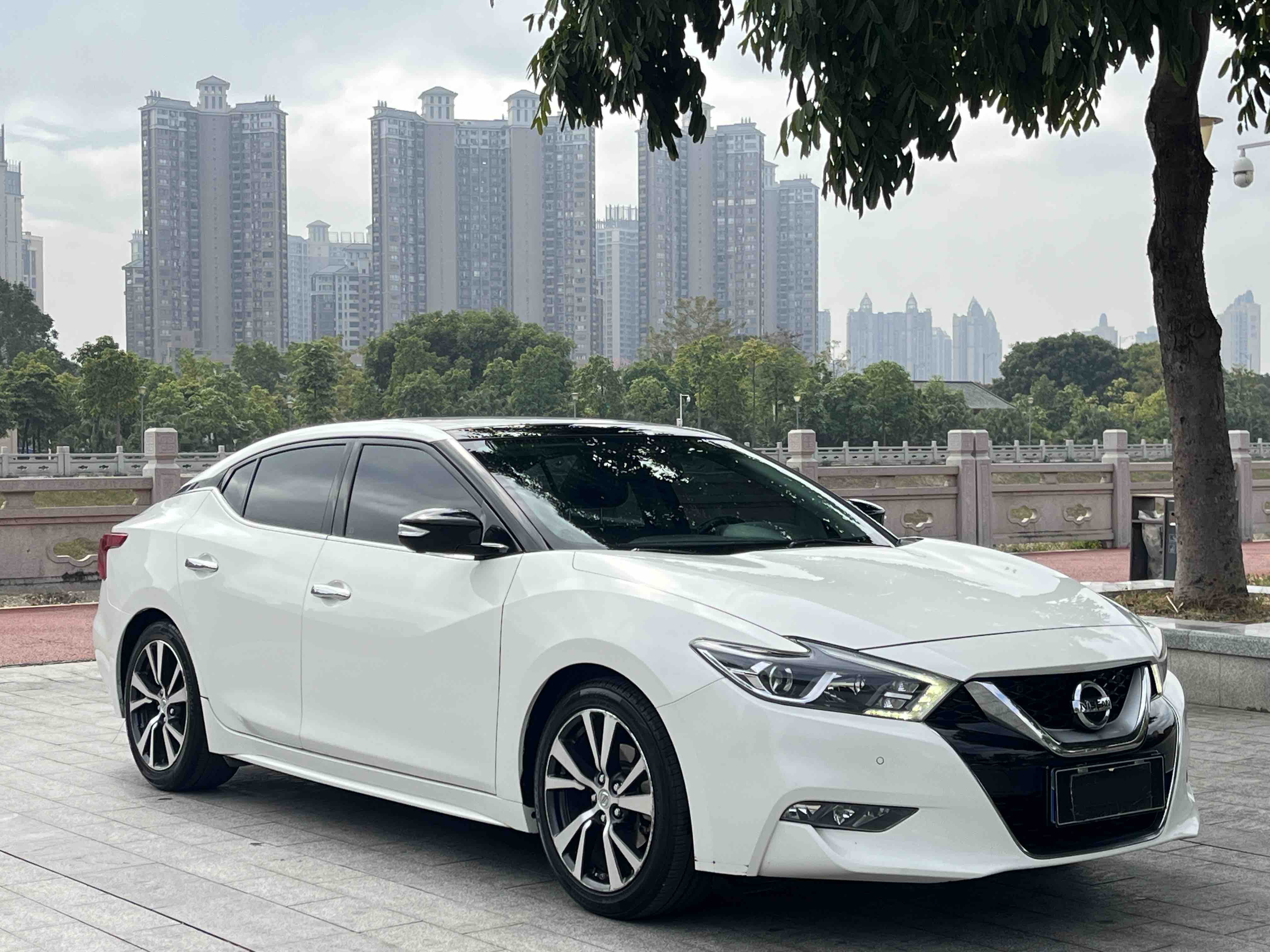 日产 西玛 2018 汽车图片 #3