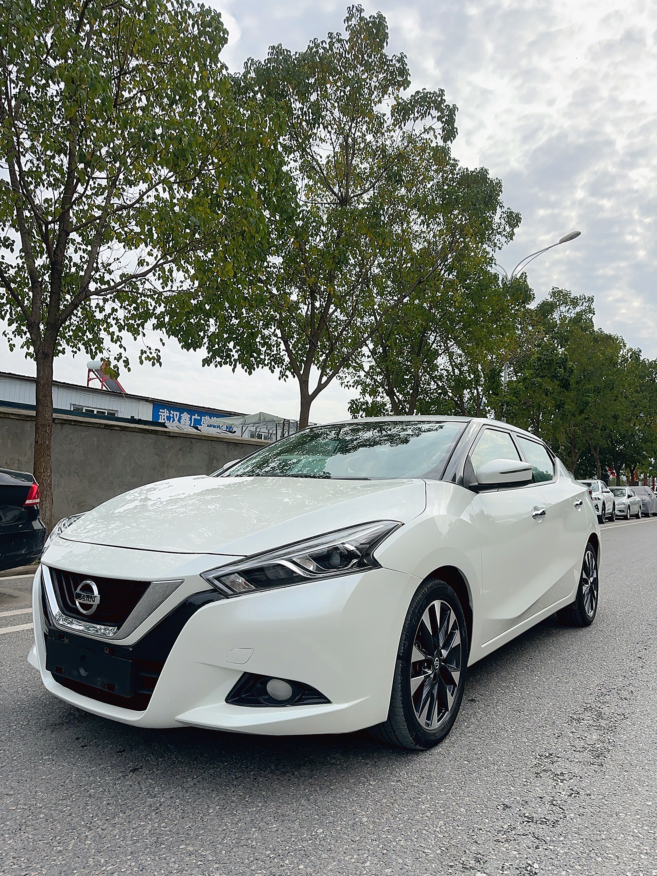 日产 蓝鸟 2017 汽车图片 #3