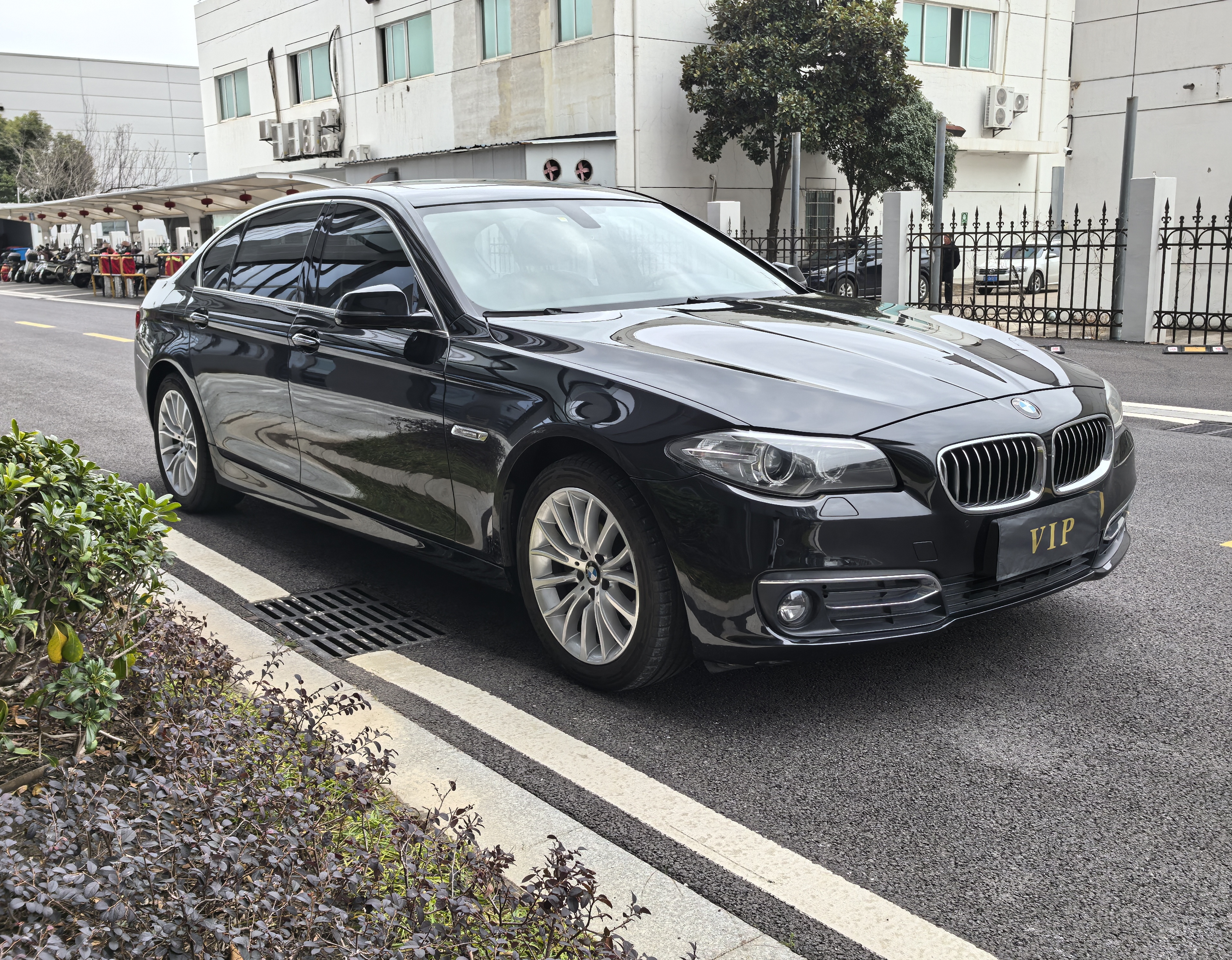 BMW 5 Series 2016 car image #3