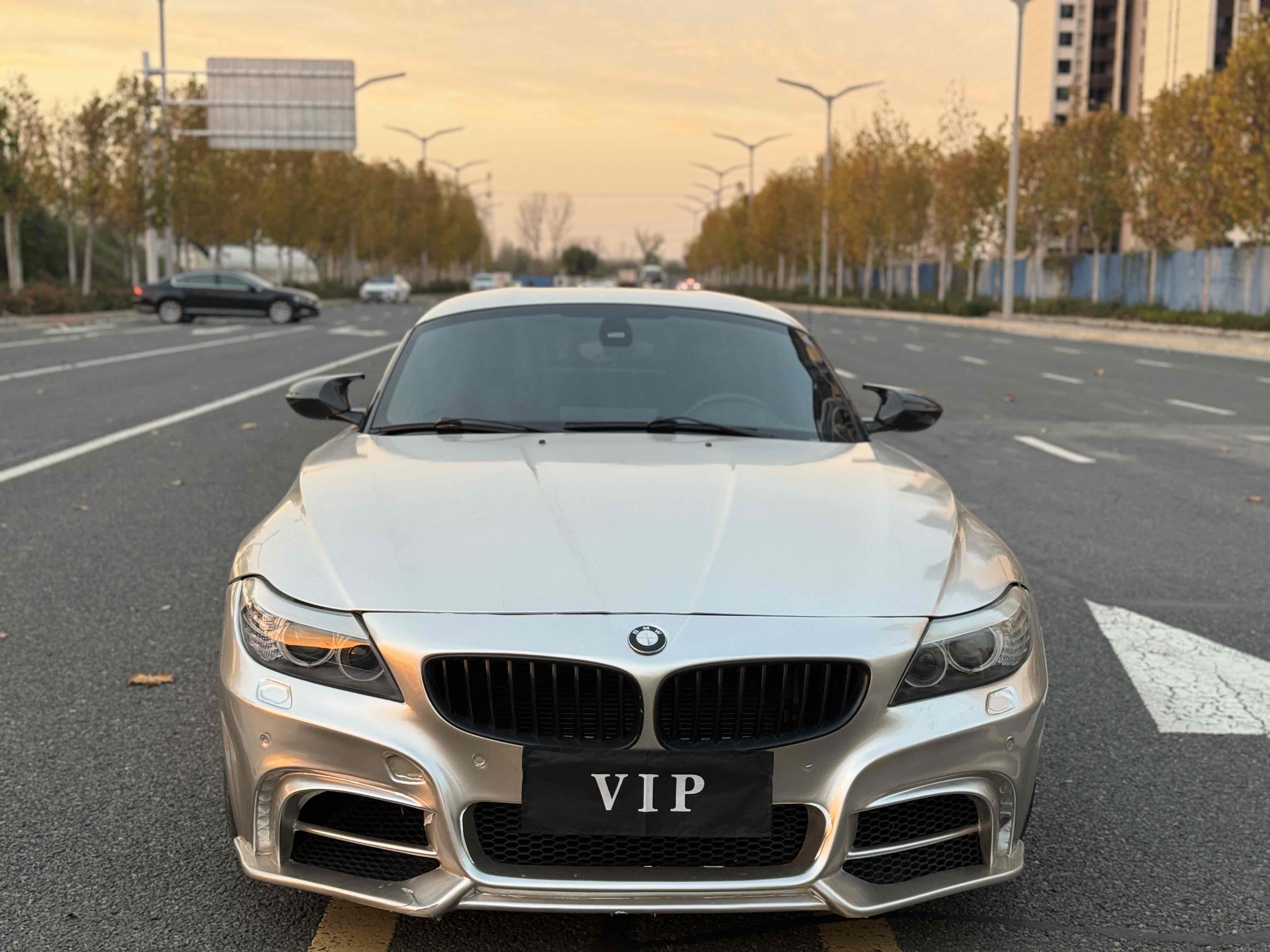 BMW Z4 M40i 2010 #3 BMW Z4 M40i 2010 car image #3