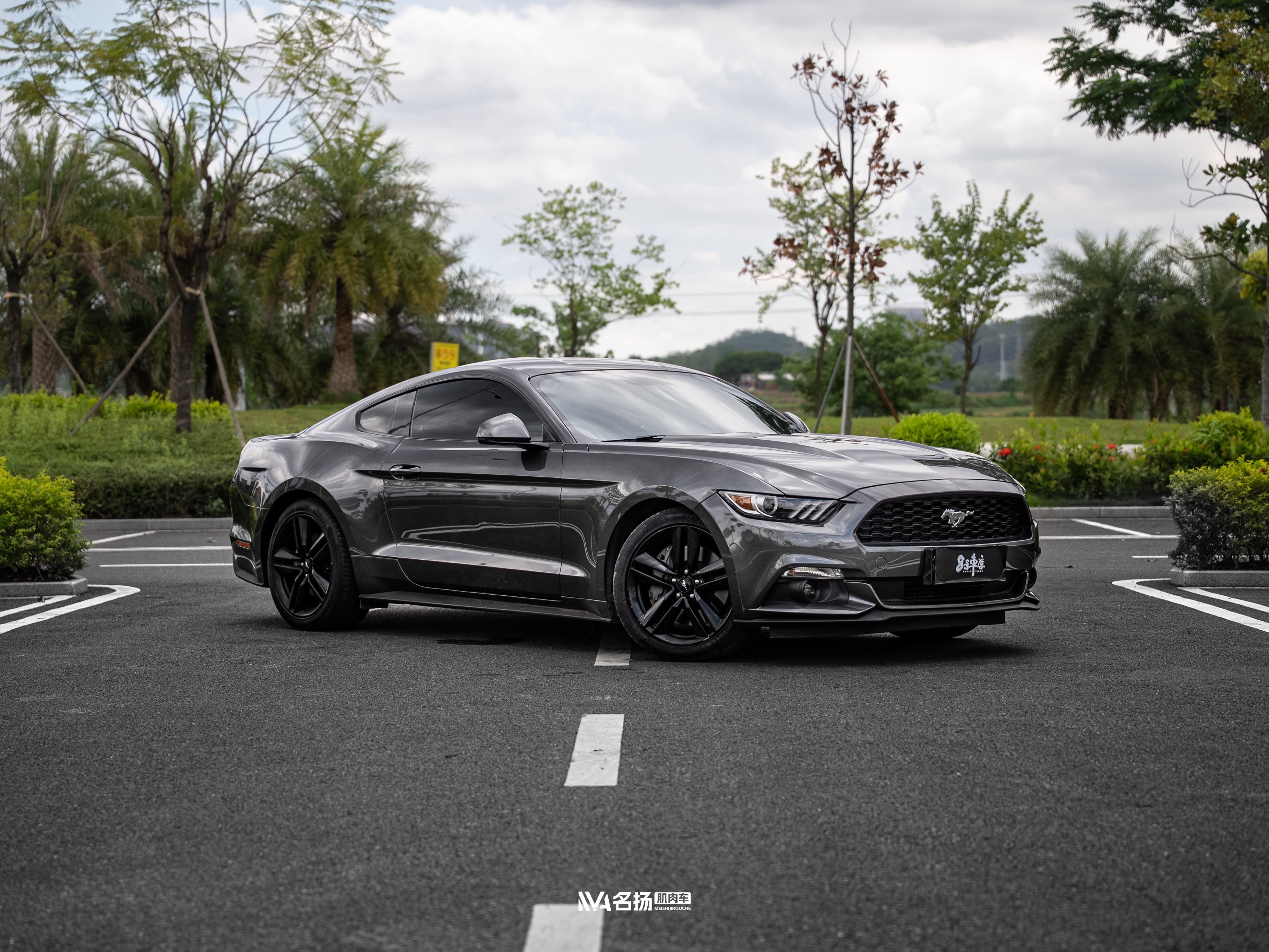 Ford Mustang 2017 #3 Ford Mustang 2017 car image #3