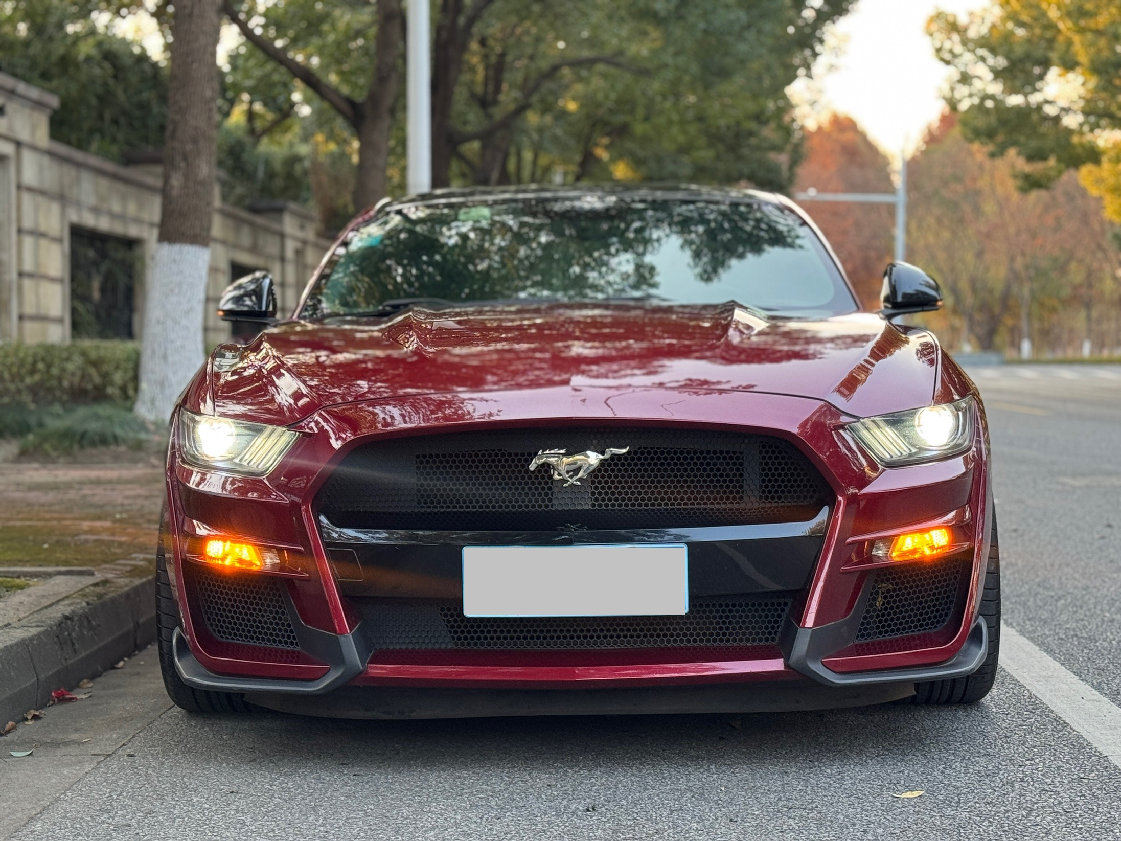 Ford Mustang 2017 car image #3