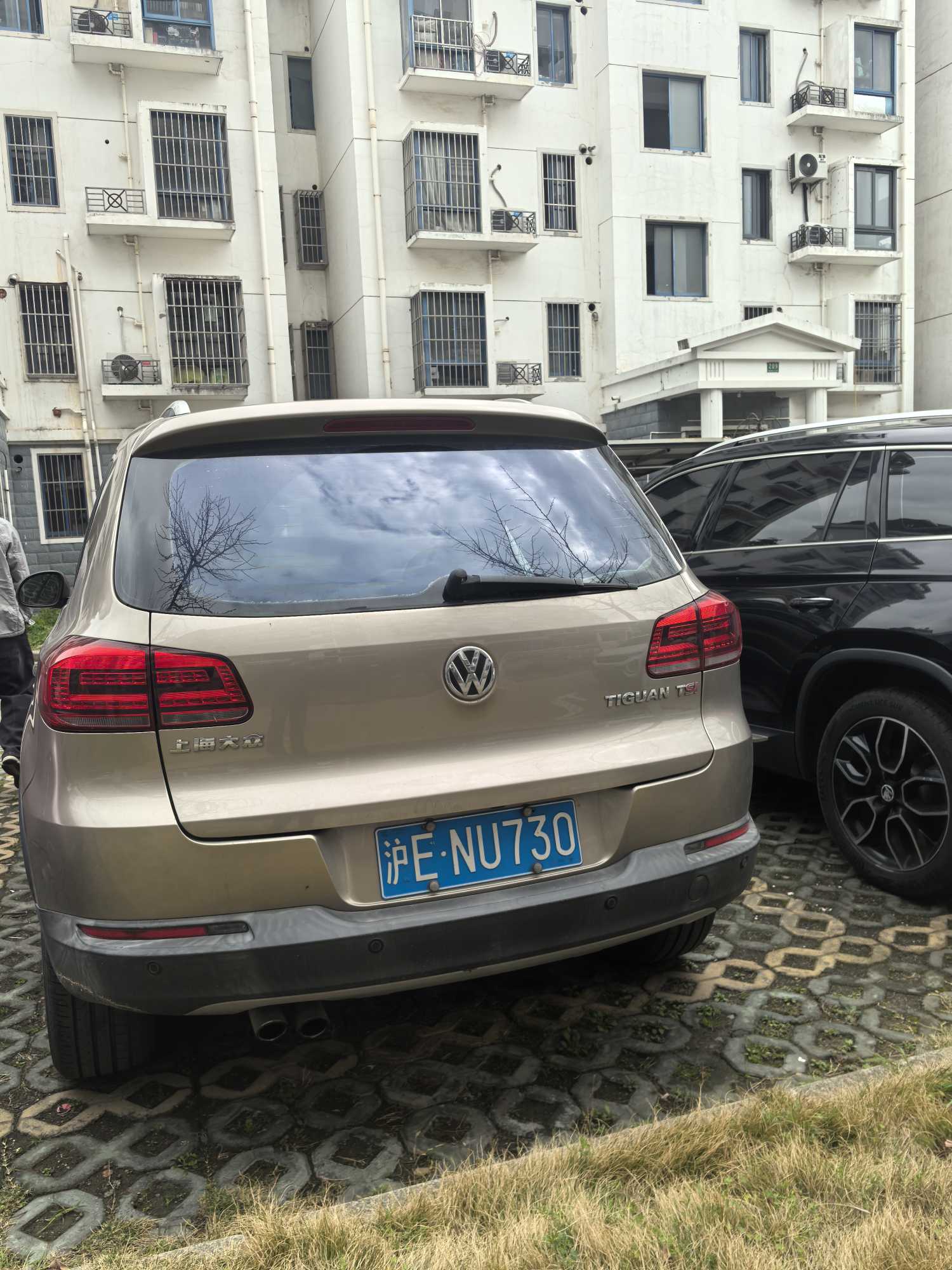 Volkswagen Tiguan 2014 immagine di auto #3