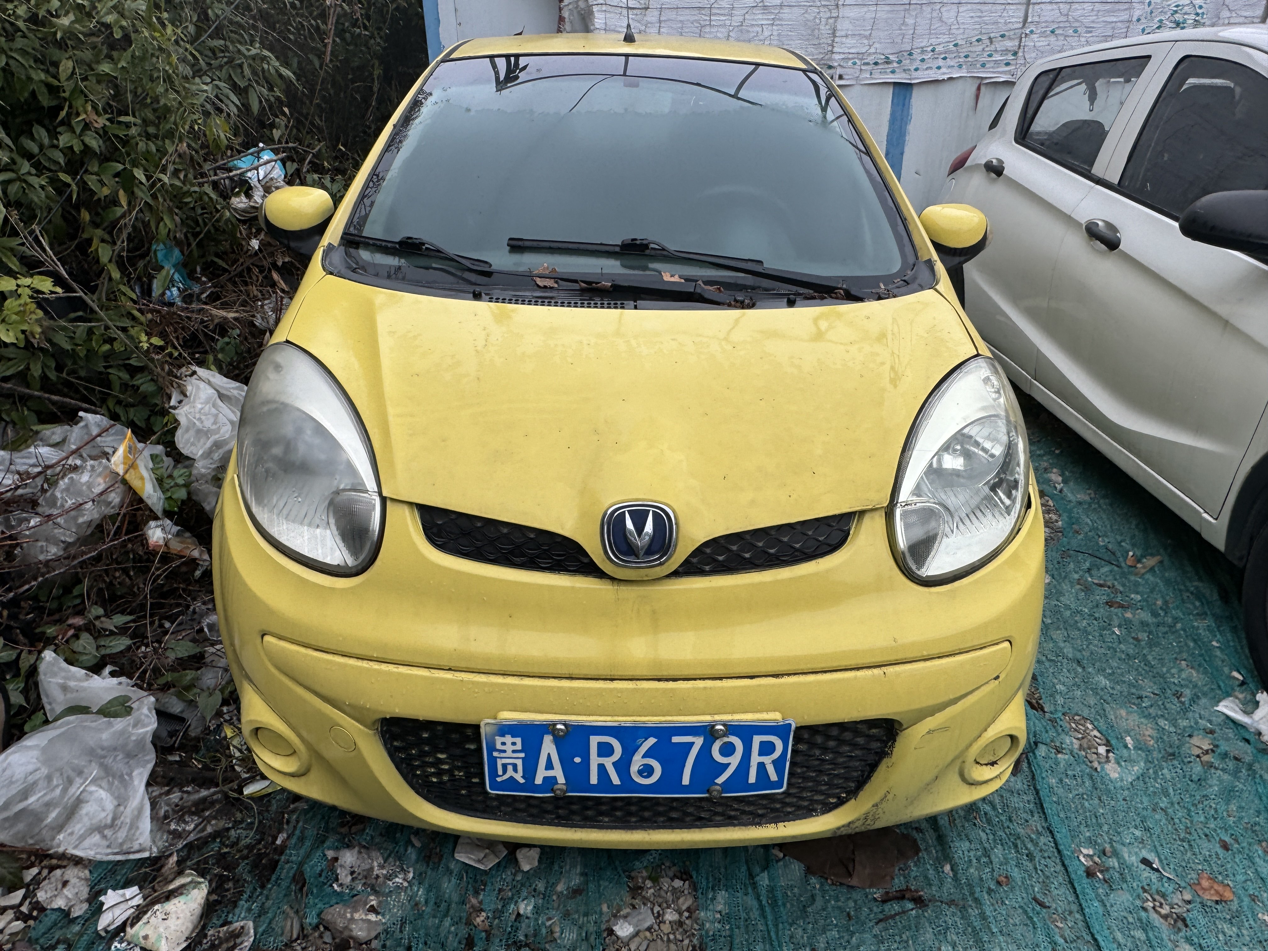 Changan BenBen MINI 2017 #3 Changan BenBen MINI 2017 صورة سيارة #3