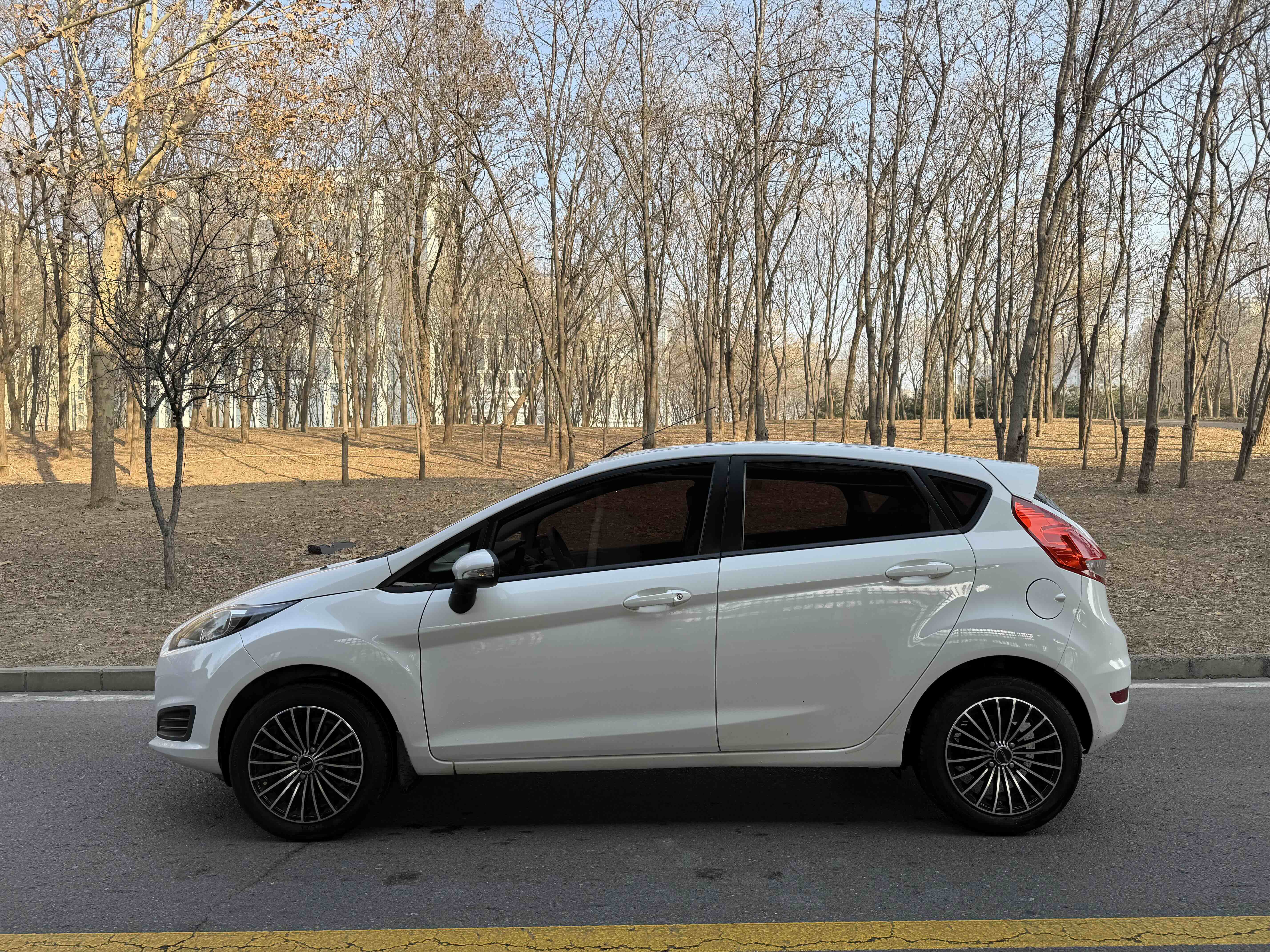 Ford Fiesta 2014 car image #3