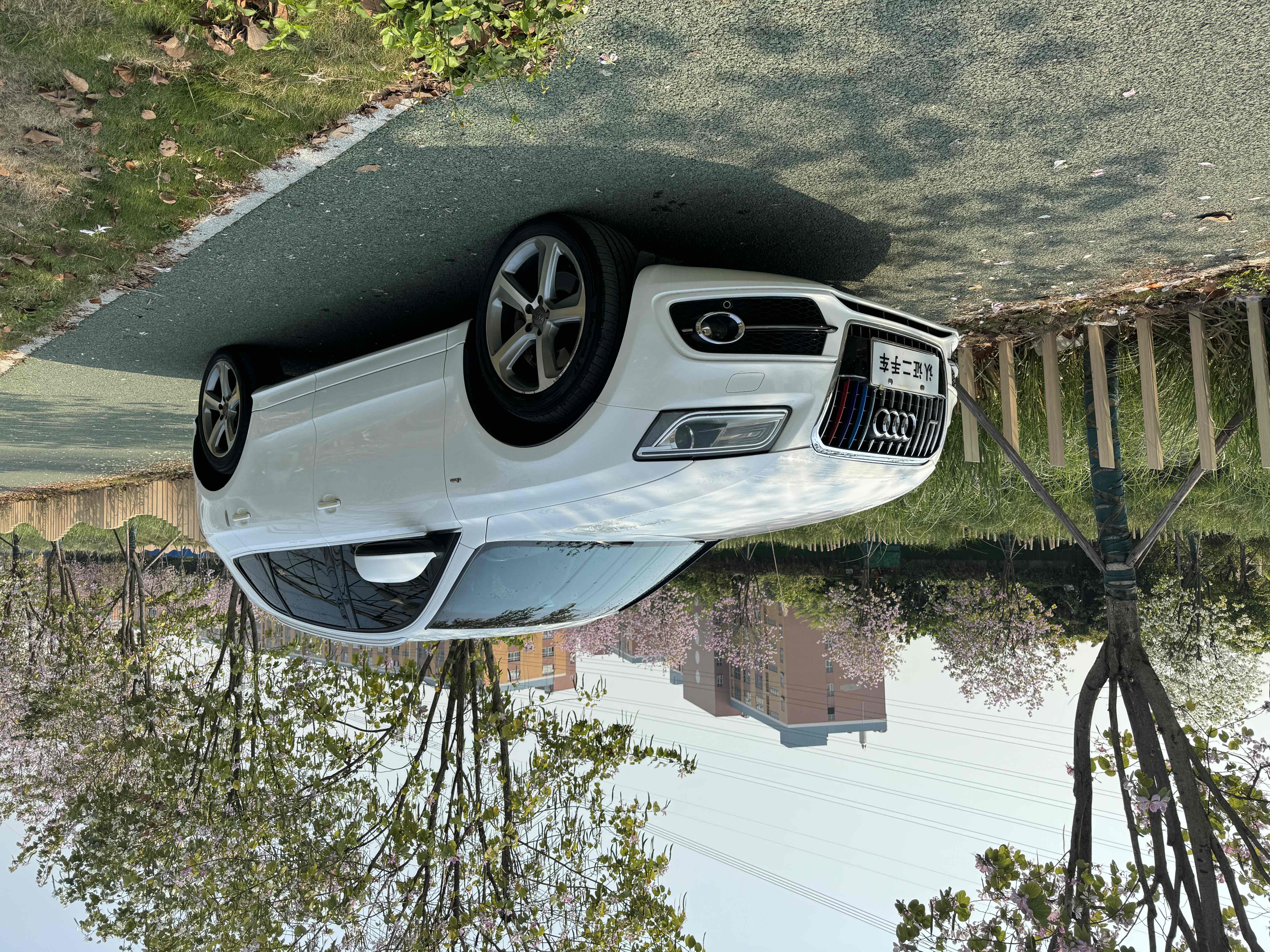 Audi SQ5 2013 imagem de carro #3