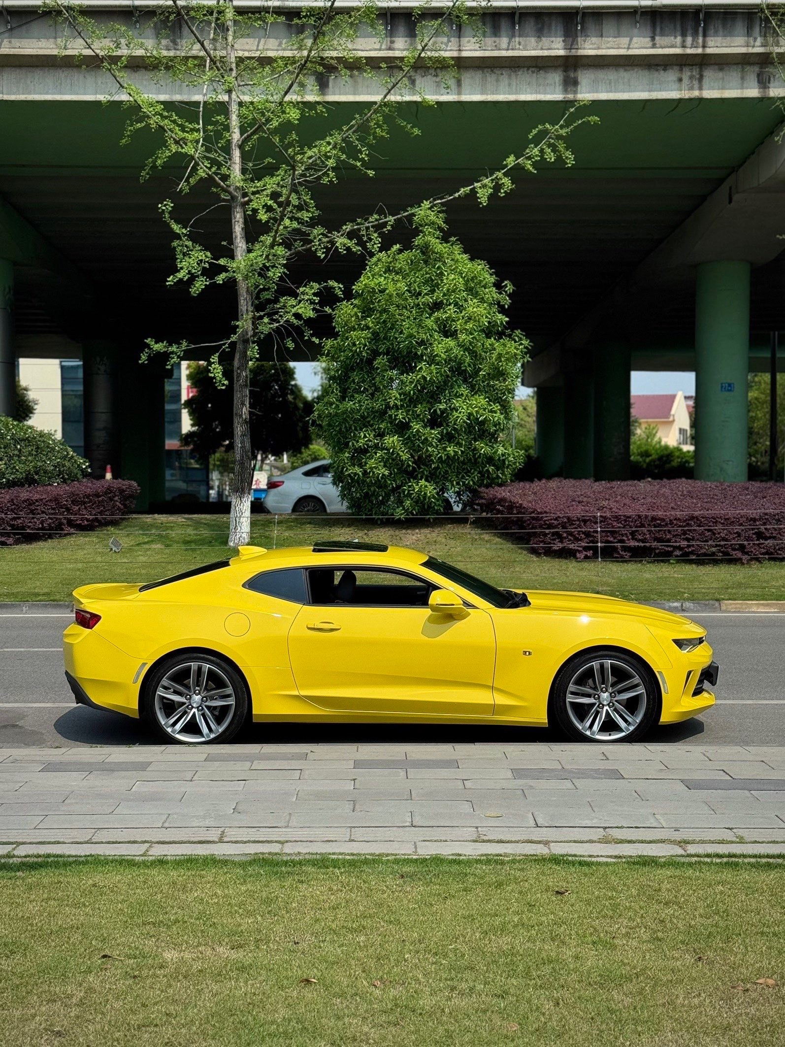 Chevrolet Camaro 2017 #3 Chevrolet Camaro 2017 imagem de carro #3