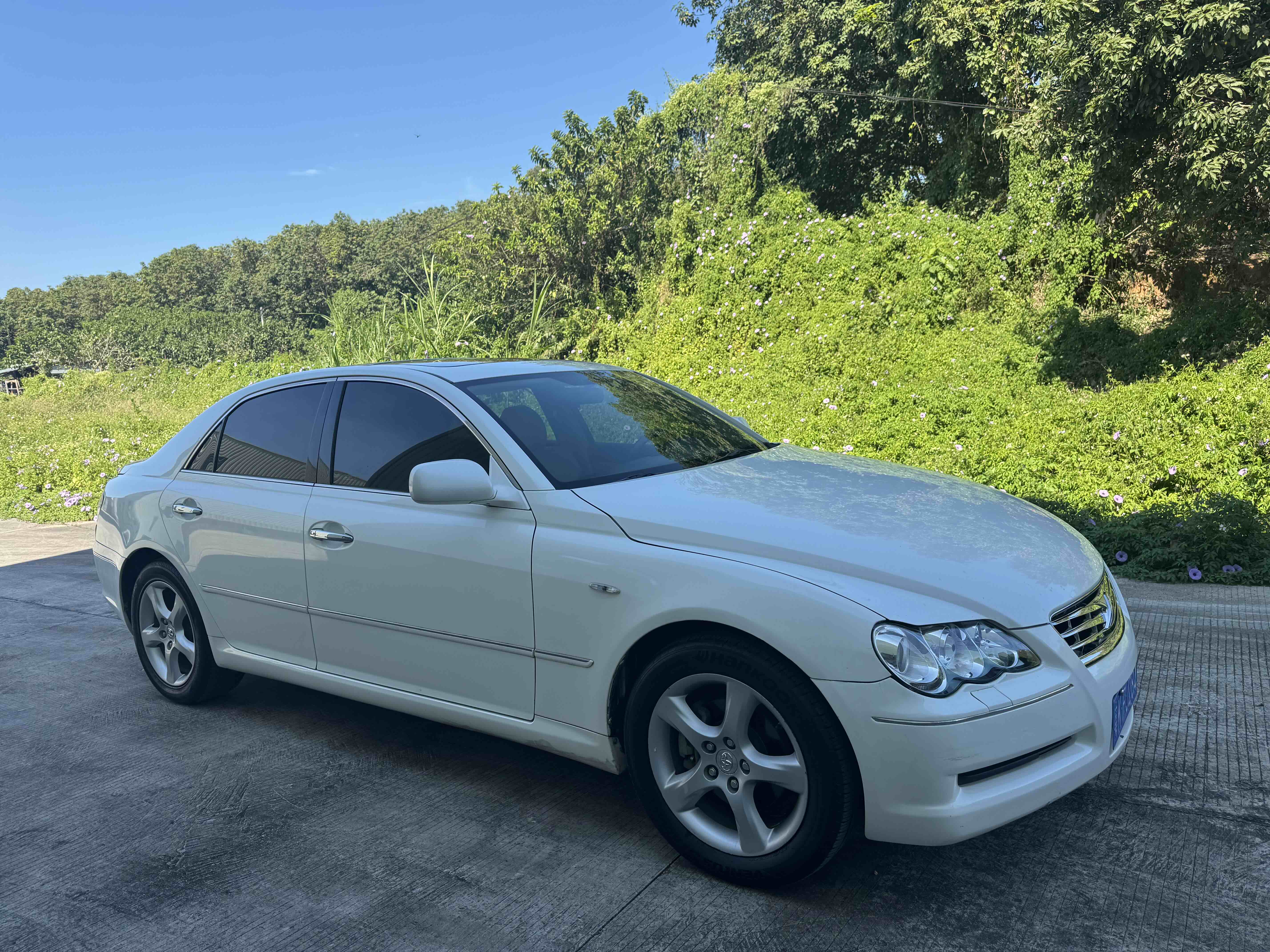 Toyota Reiz 2006 immagine di auto #3