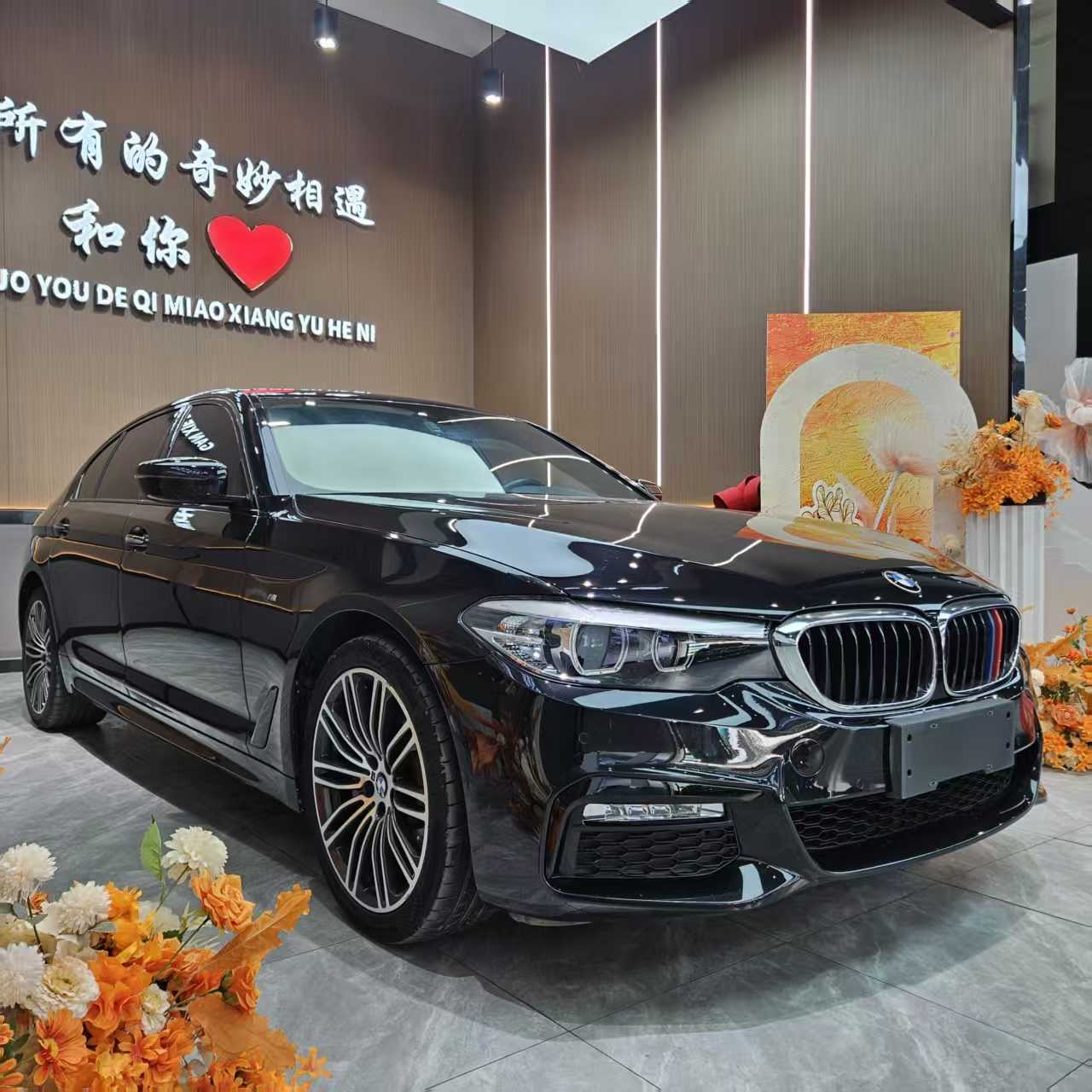 BMW 5 Series 2018 immagine di auto #3