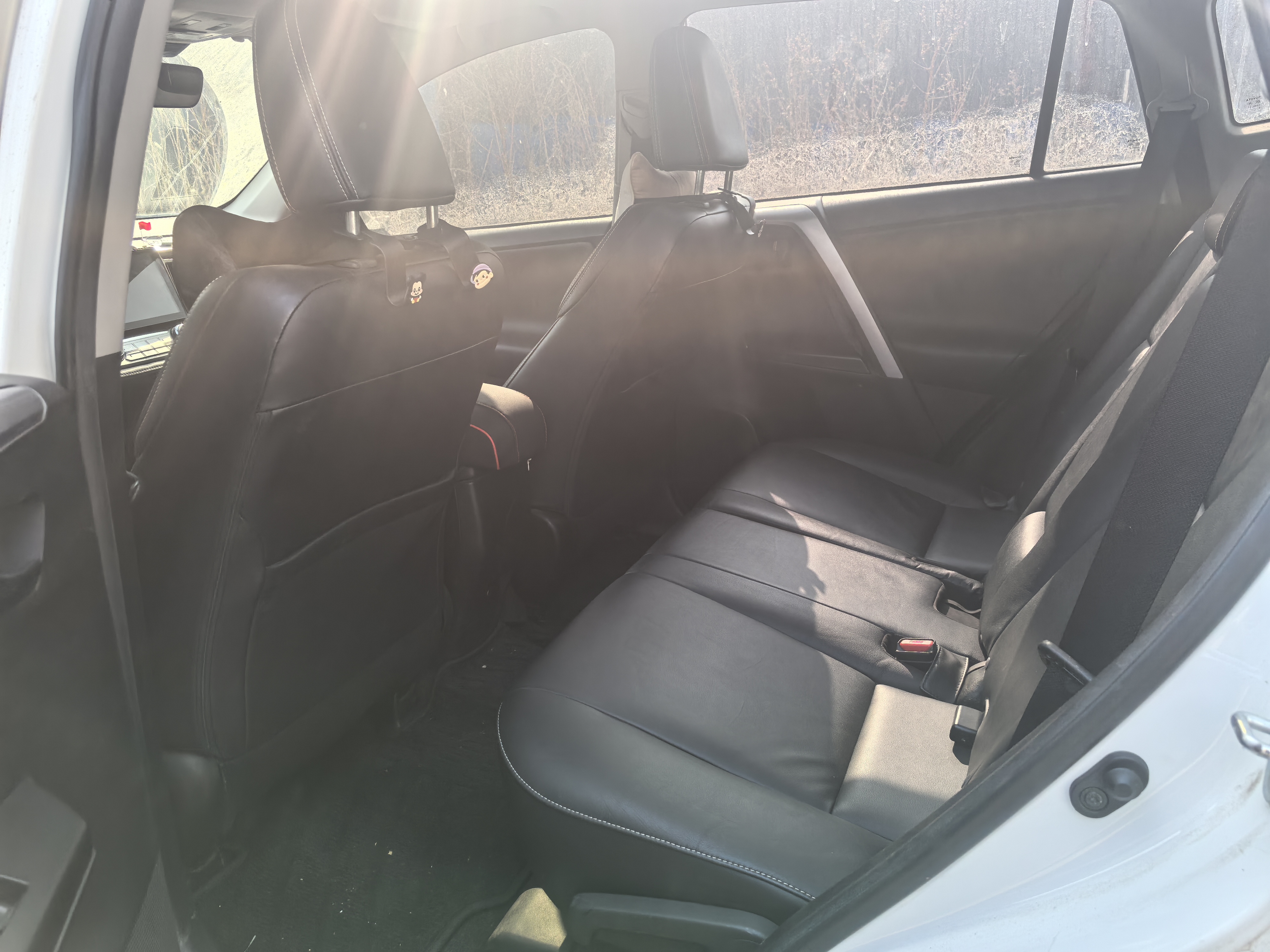 Toyota RAV4 2018 car image #3