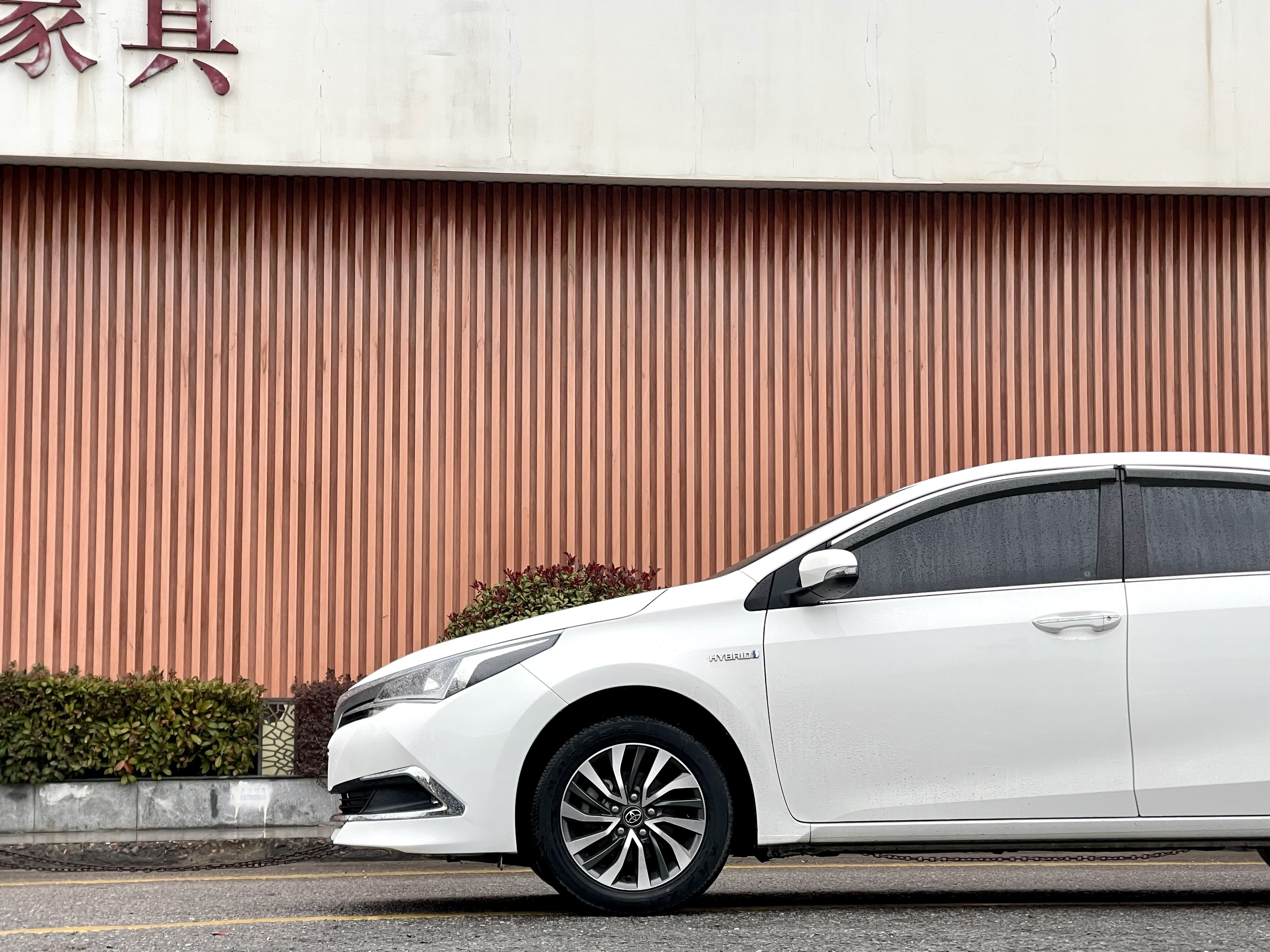 Toyota Corolla 2019 #3 Toyota Corolla 2019 car image #3