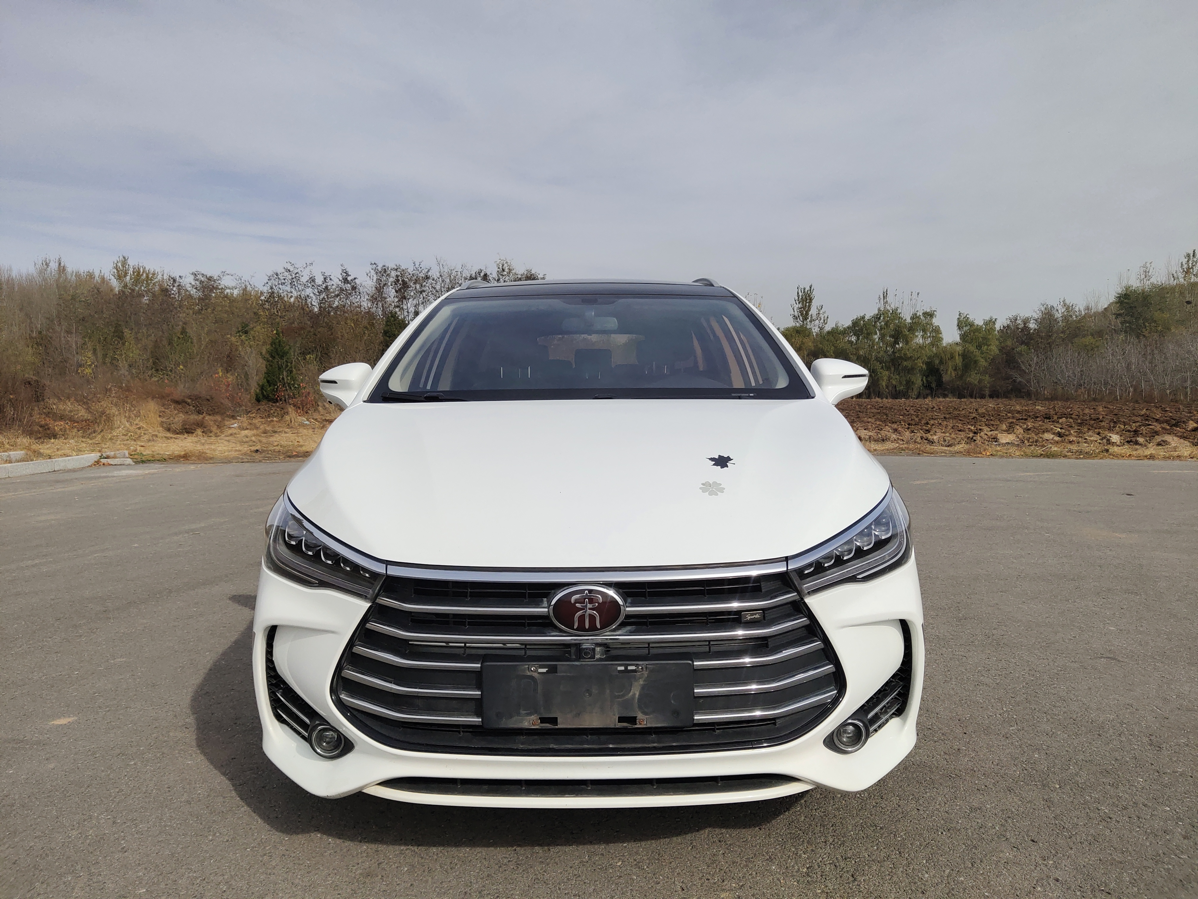 BYD Song MAX 2018 immagine di auto #3