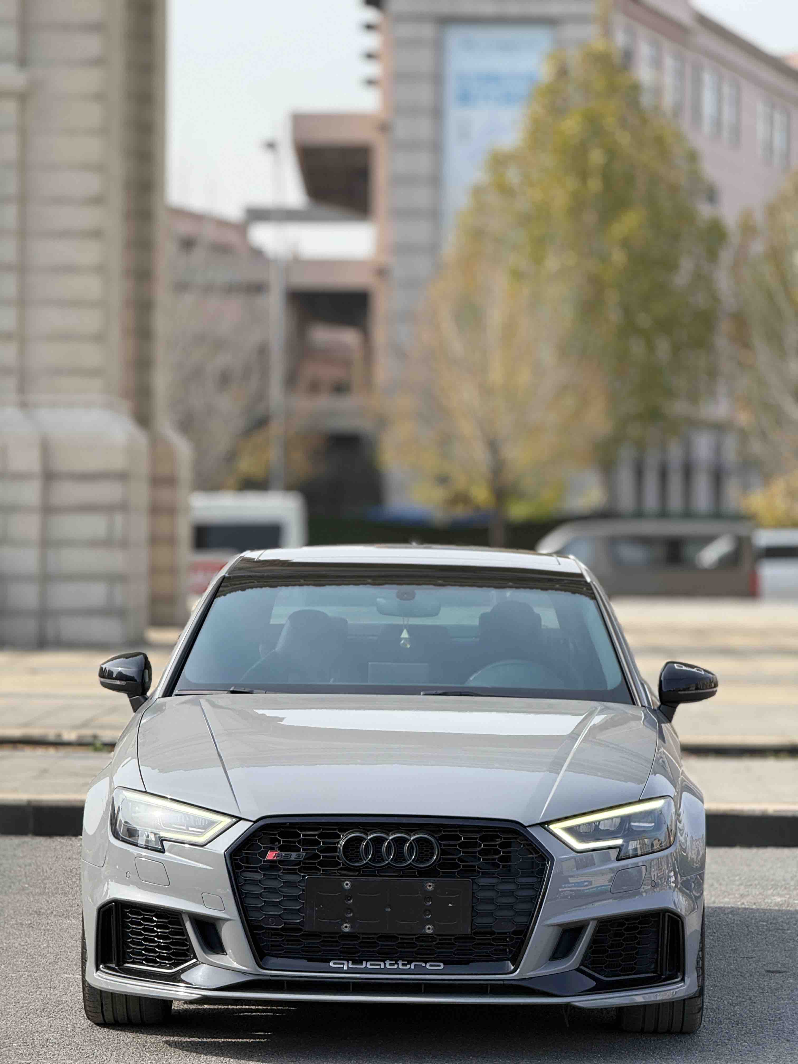 Audi RS 3 2019 car image #3