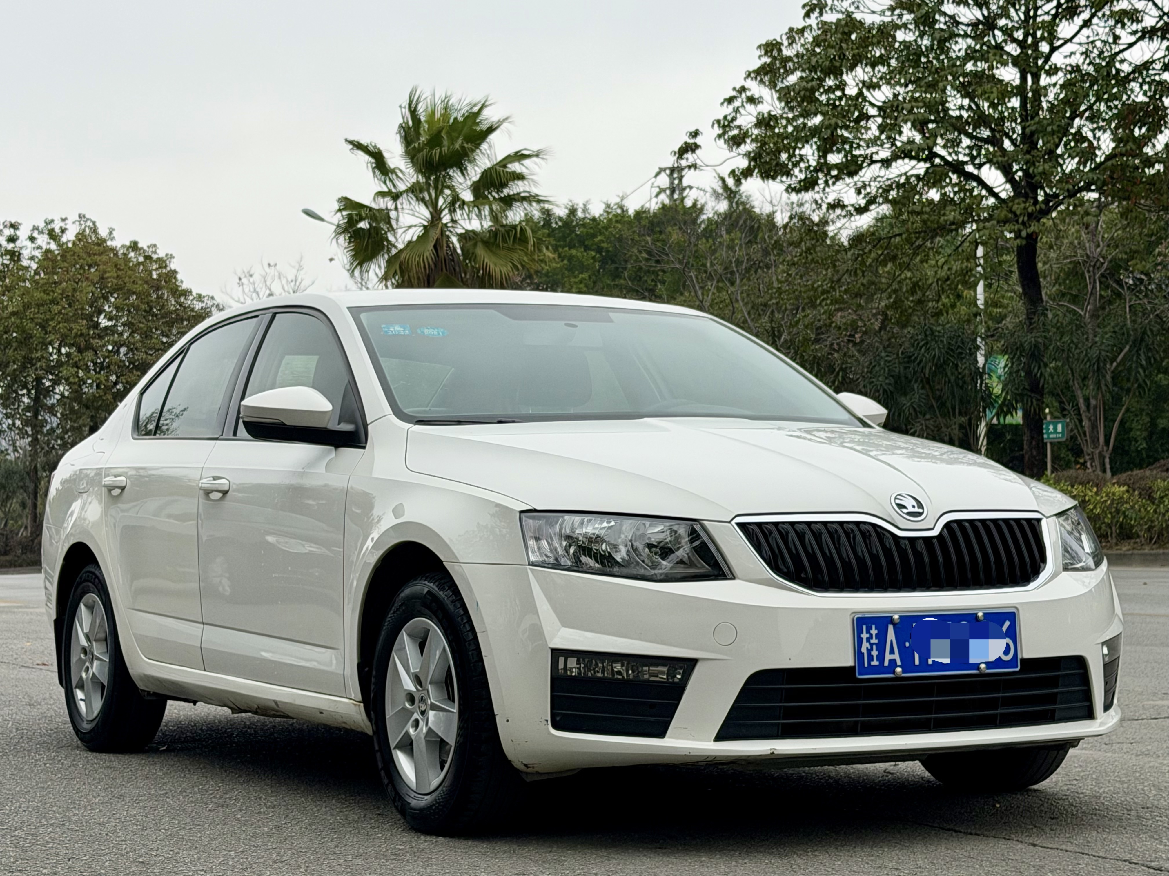 Skoda 2018 immagine di auto #3