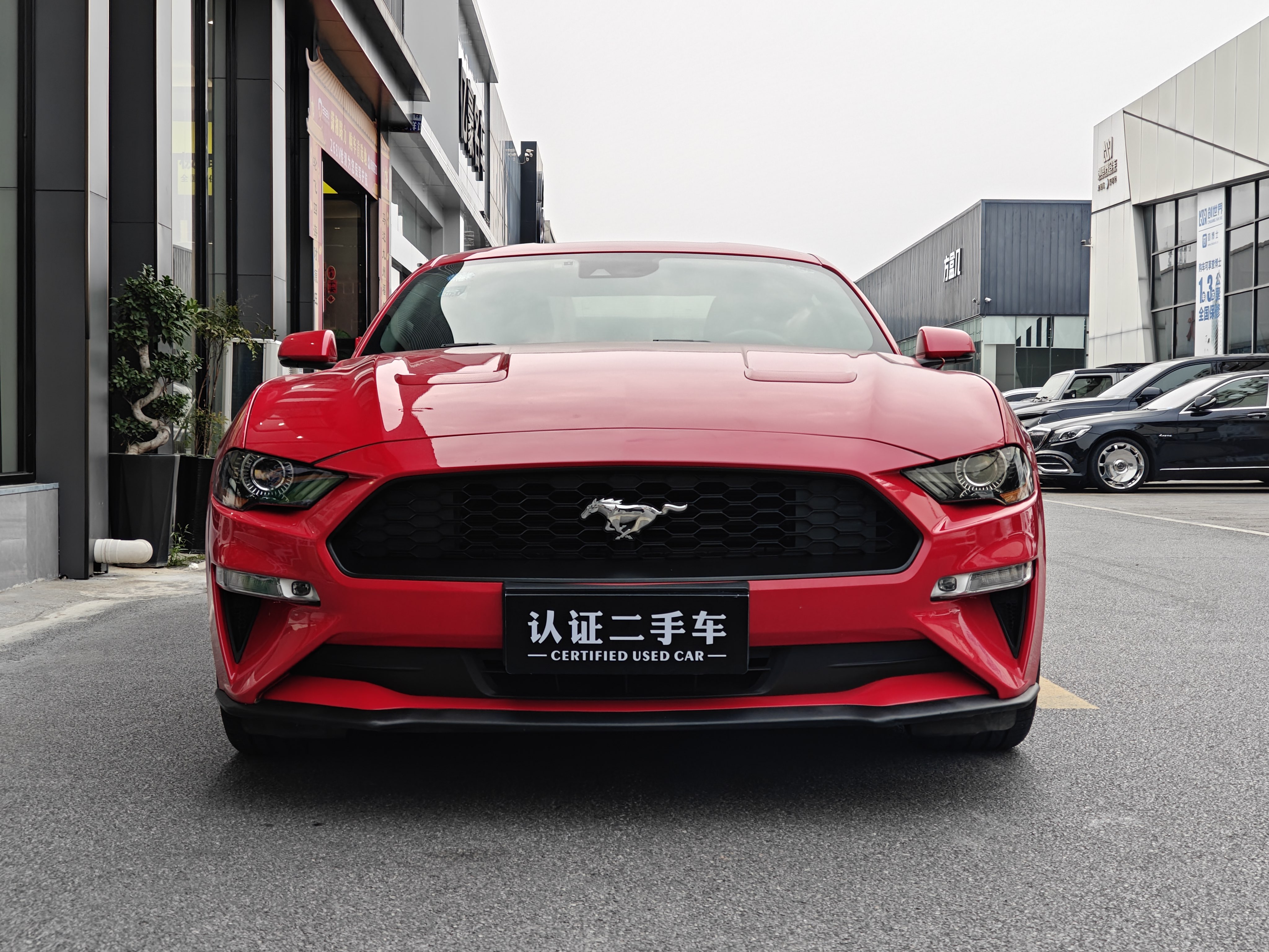 福特 Mustang 2019 汽车图片 #3