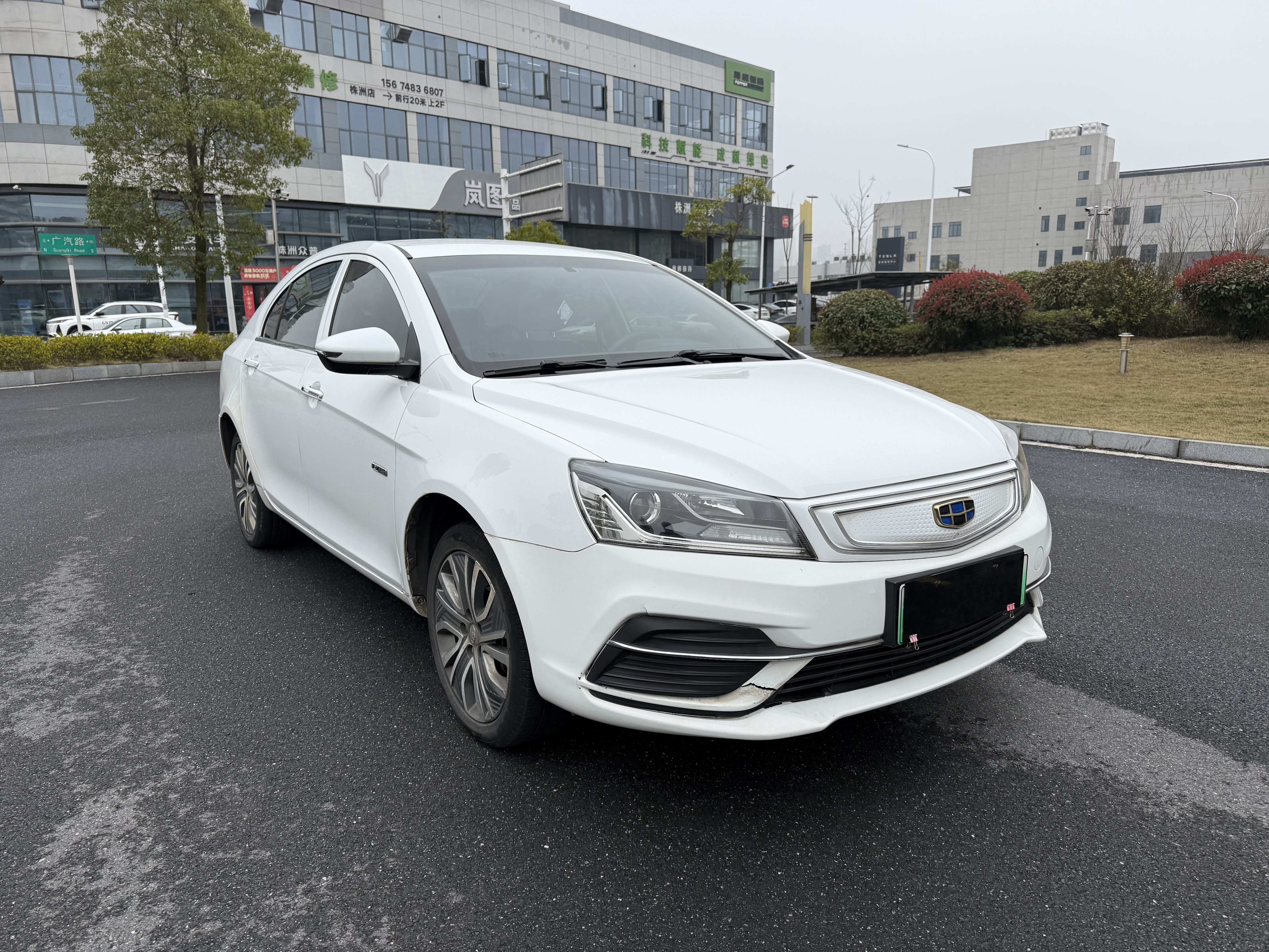 Emgrand New Energy 2019 car image #3