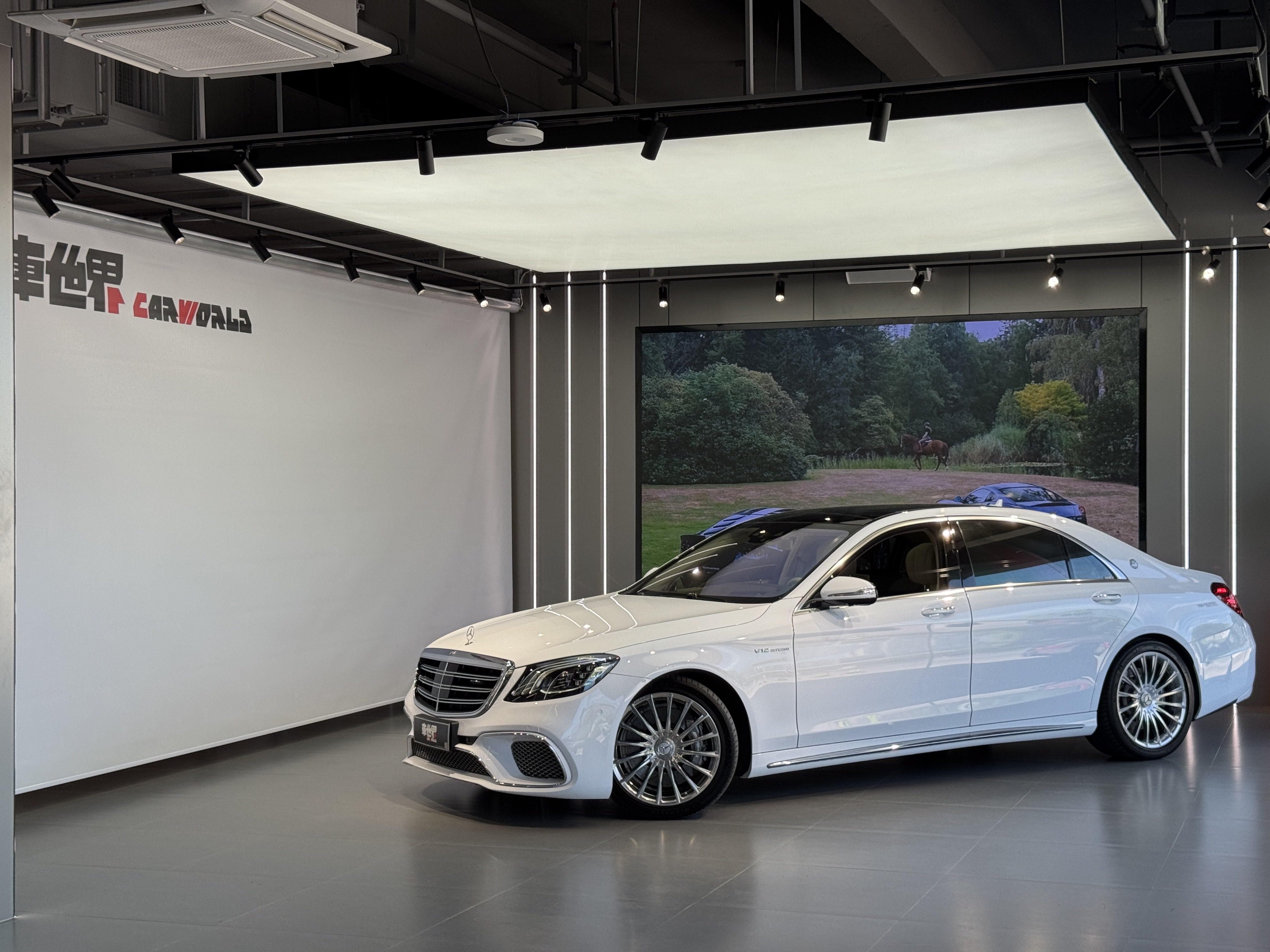 Mercedes-Benz S AMG 2018 imagen de coche #3