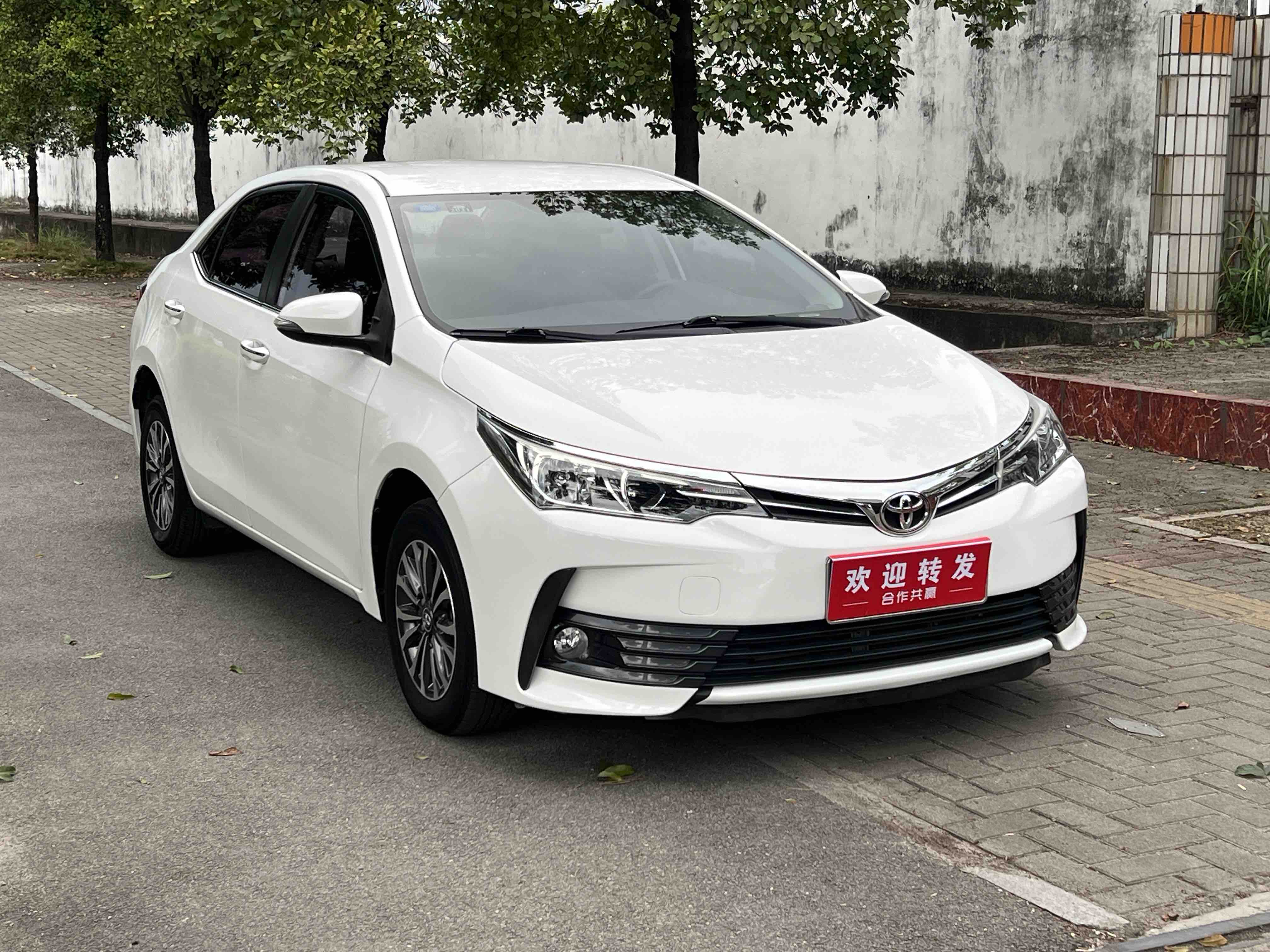 Corolla 2019 car image #3