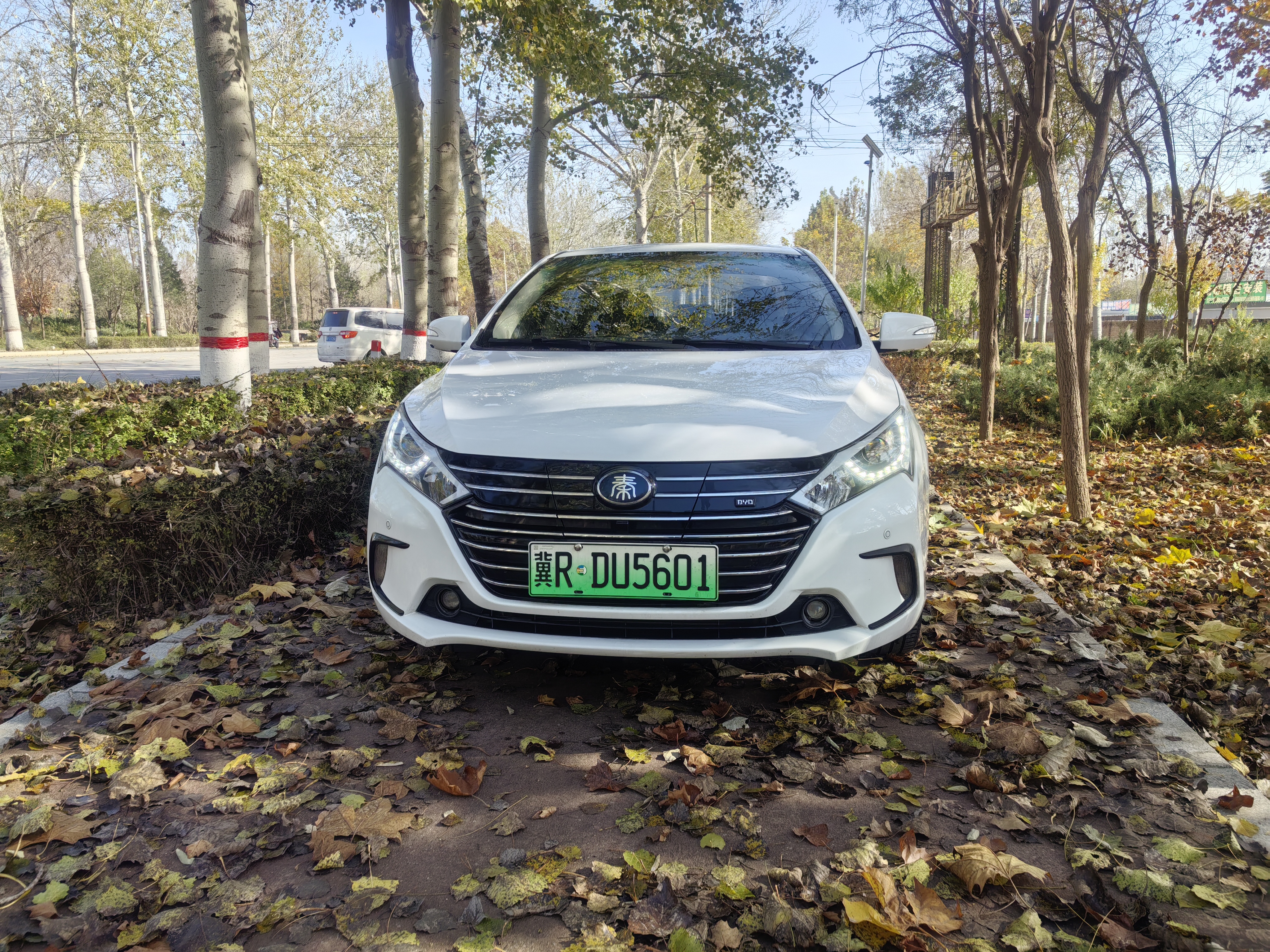 BYD Qin New Energy 2018 car image #3