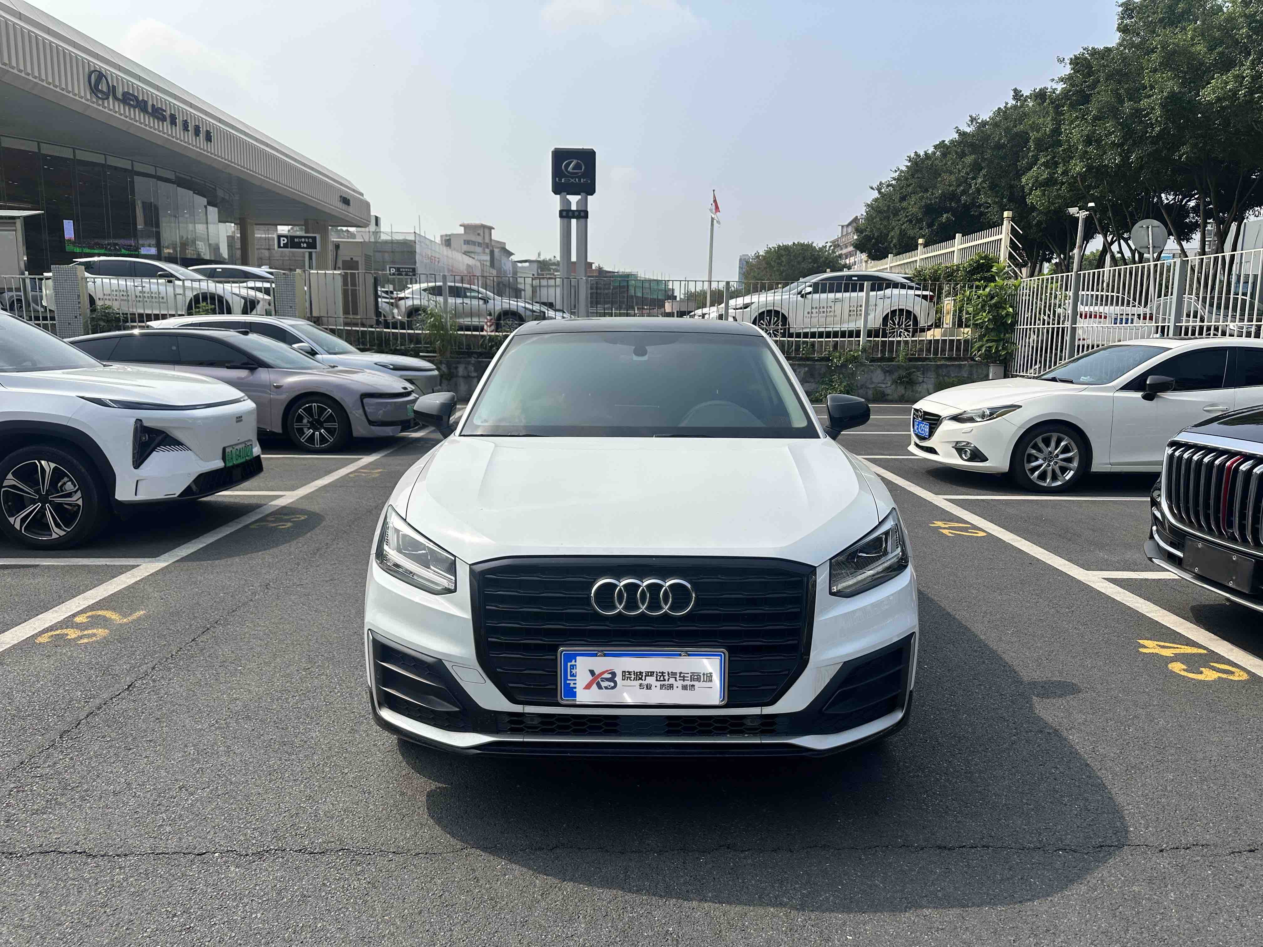 Q2L 2019 car image #3