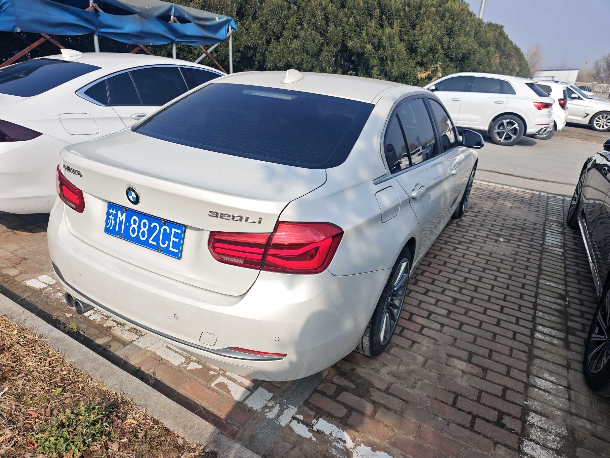 BMW 3 Series 2019 #3 BMW 3 Series 2019 car image #3