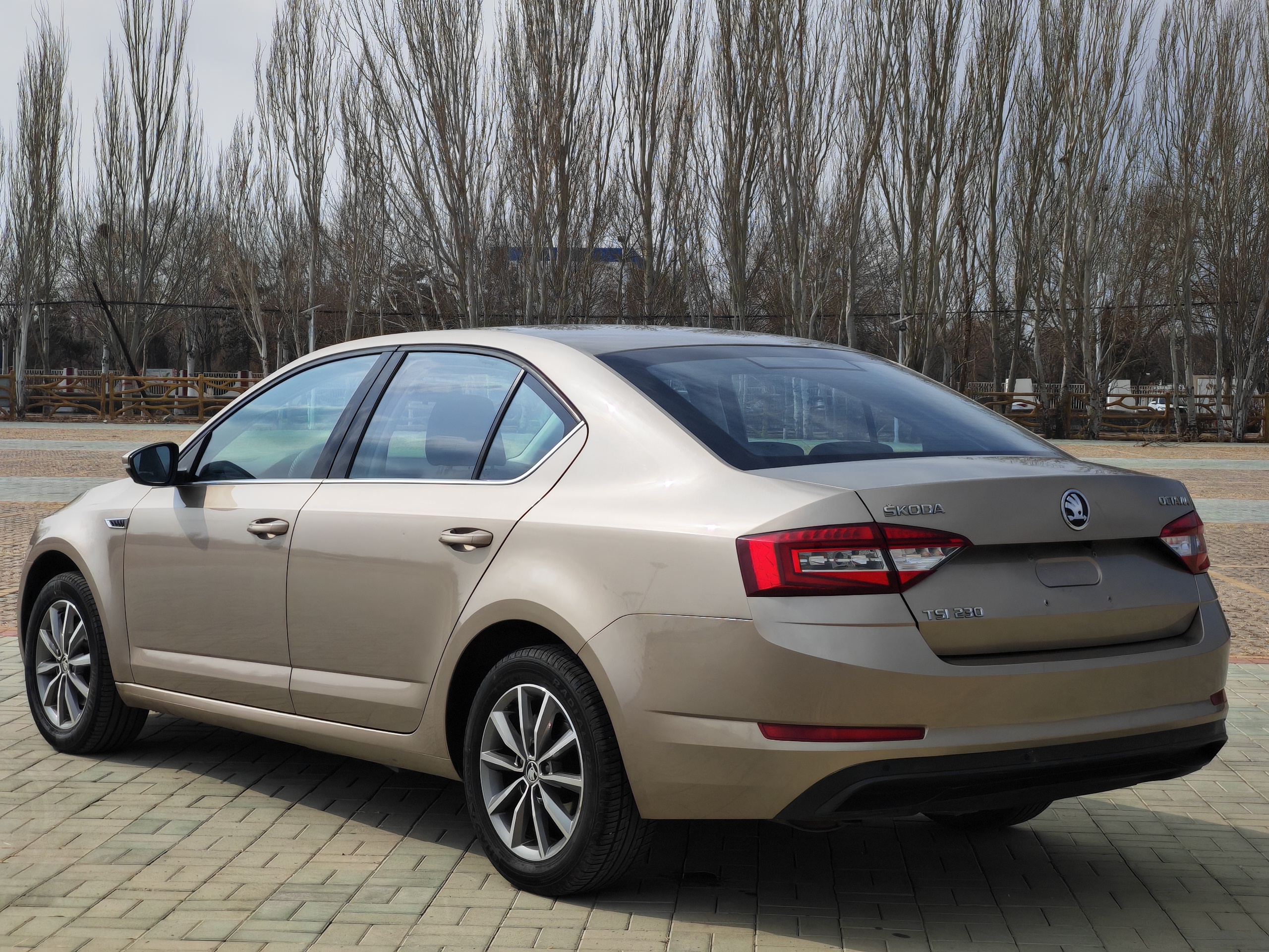 Skoda Octavia 2019 car image #3
