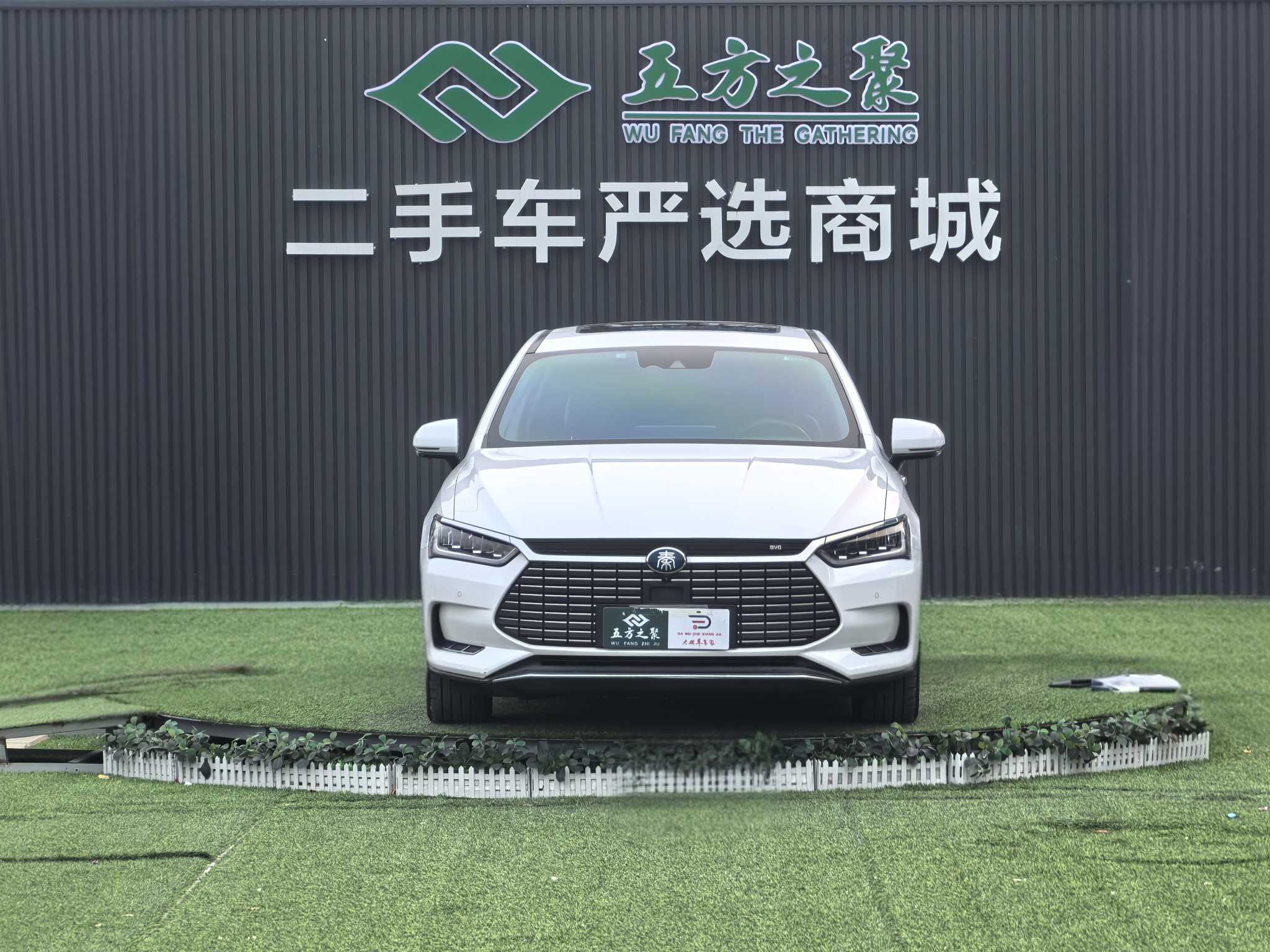 BYD Qin Pro New Energy 2019 car image #3