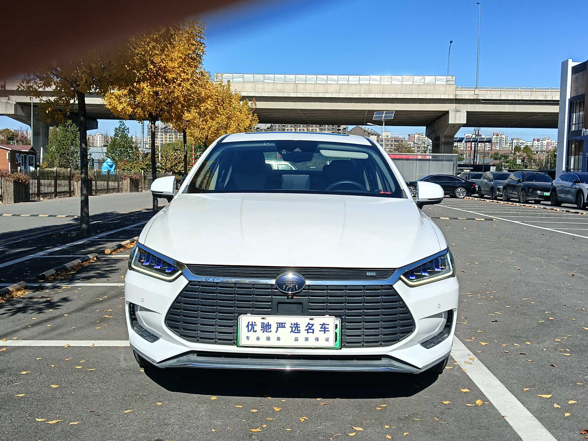 BYD Qin Pro New Energy 2020 car image #3