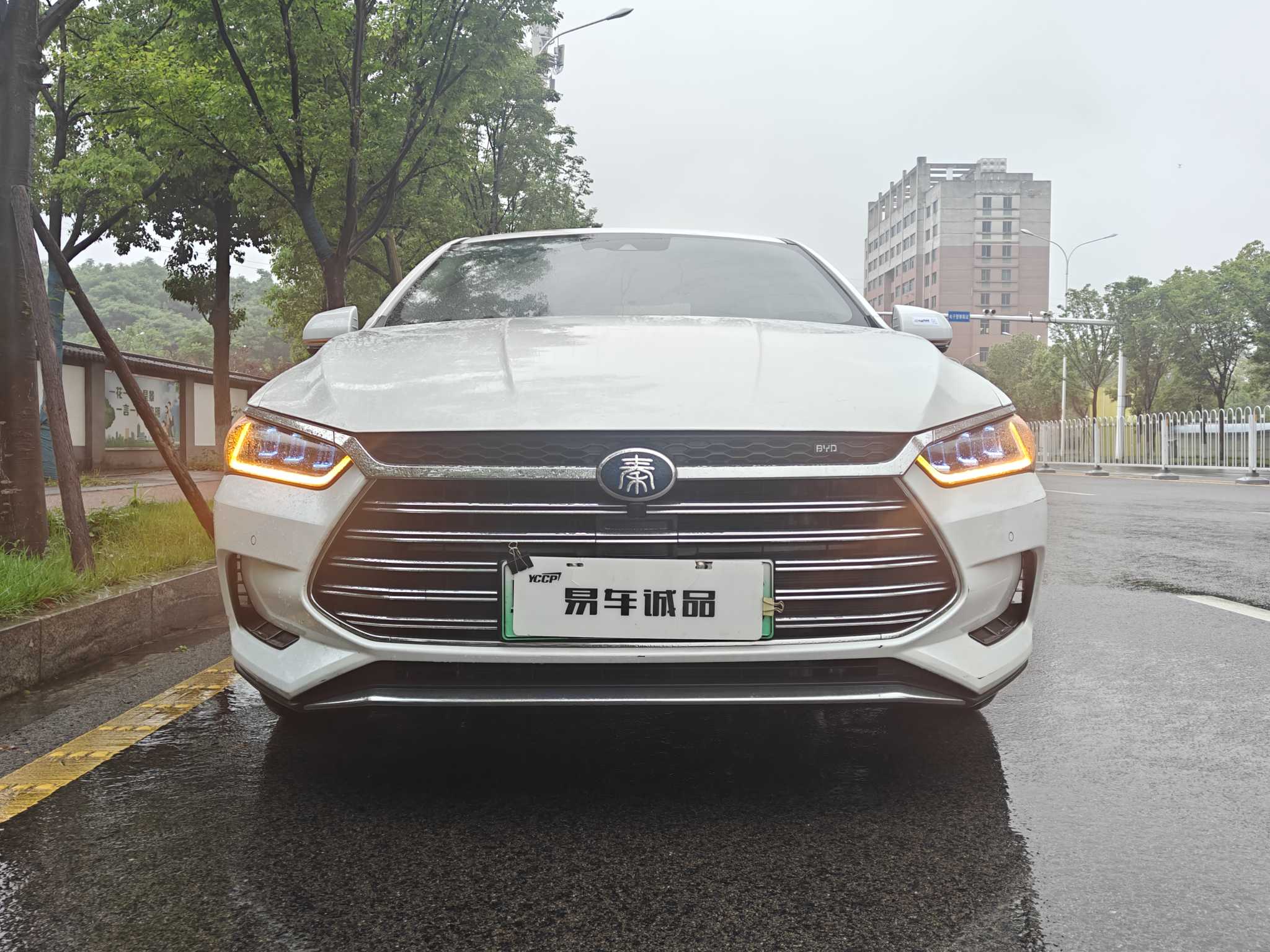 BYD Qin Pro New Energy 2019 car image #3