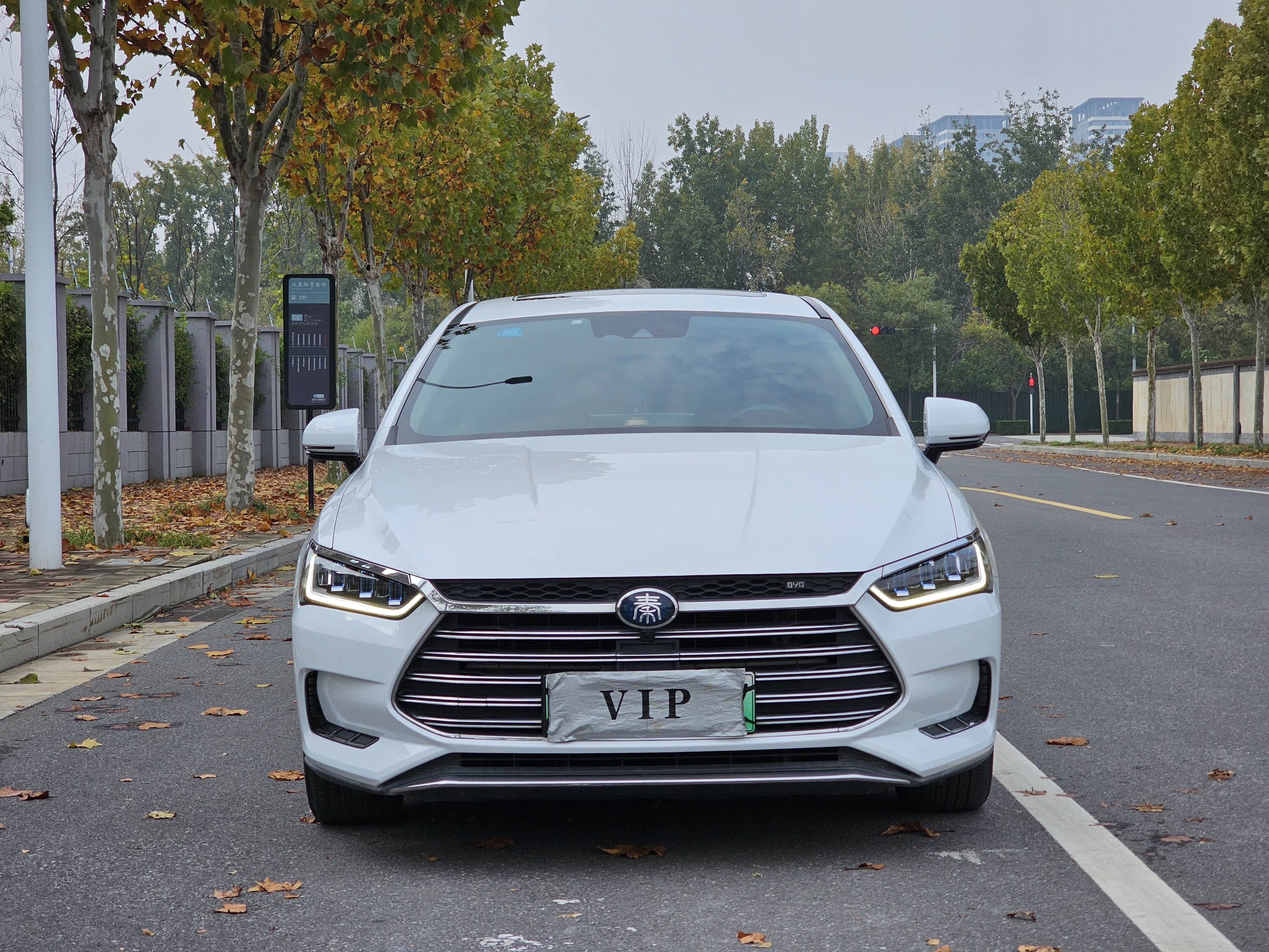 BYD Qin Pro New Energy 2019 #3 BYD Qin Pro New Energy 2019 car image #3