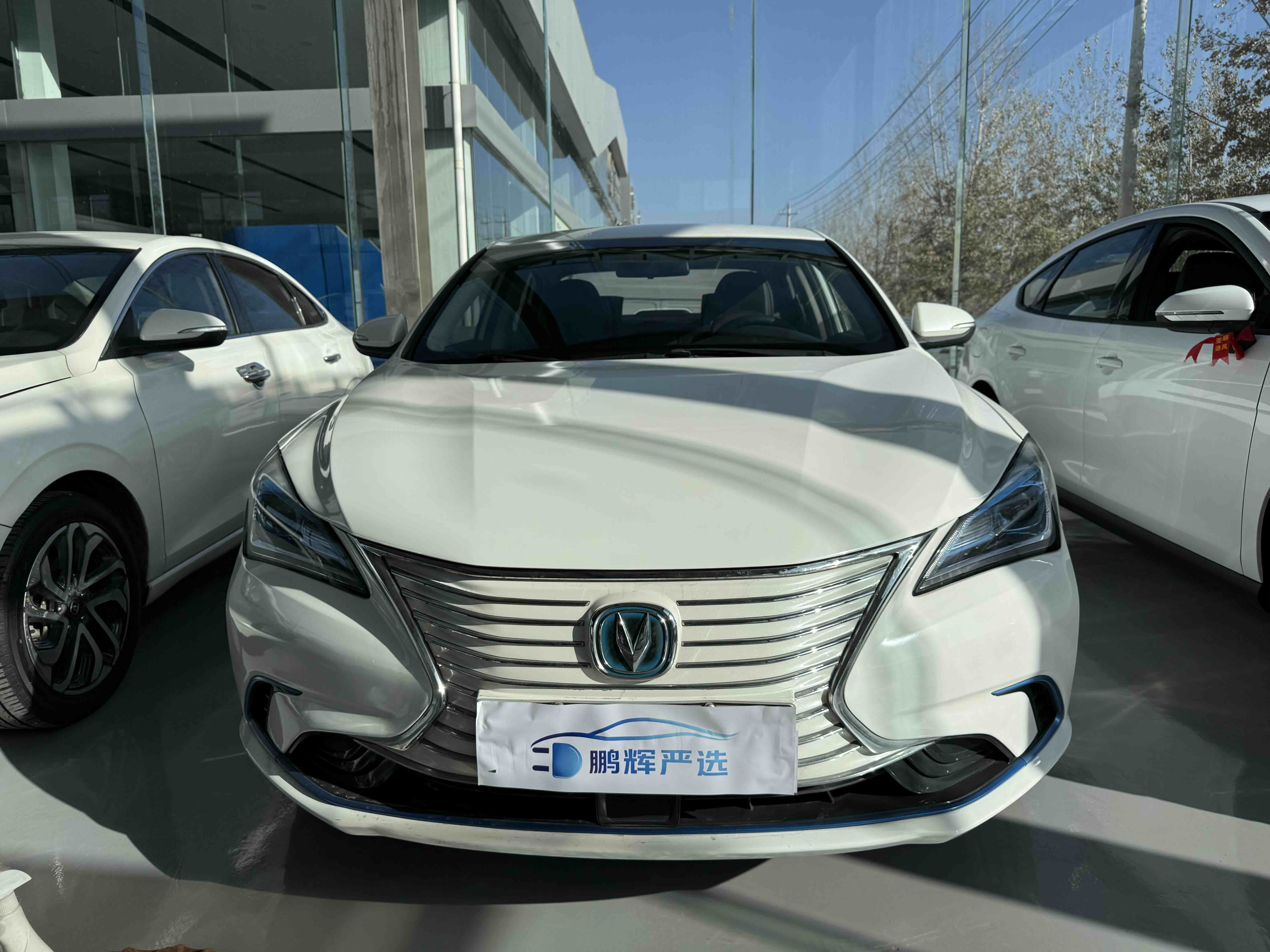 Changan Eado EV 2019 car image #3