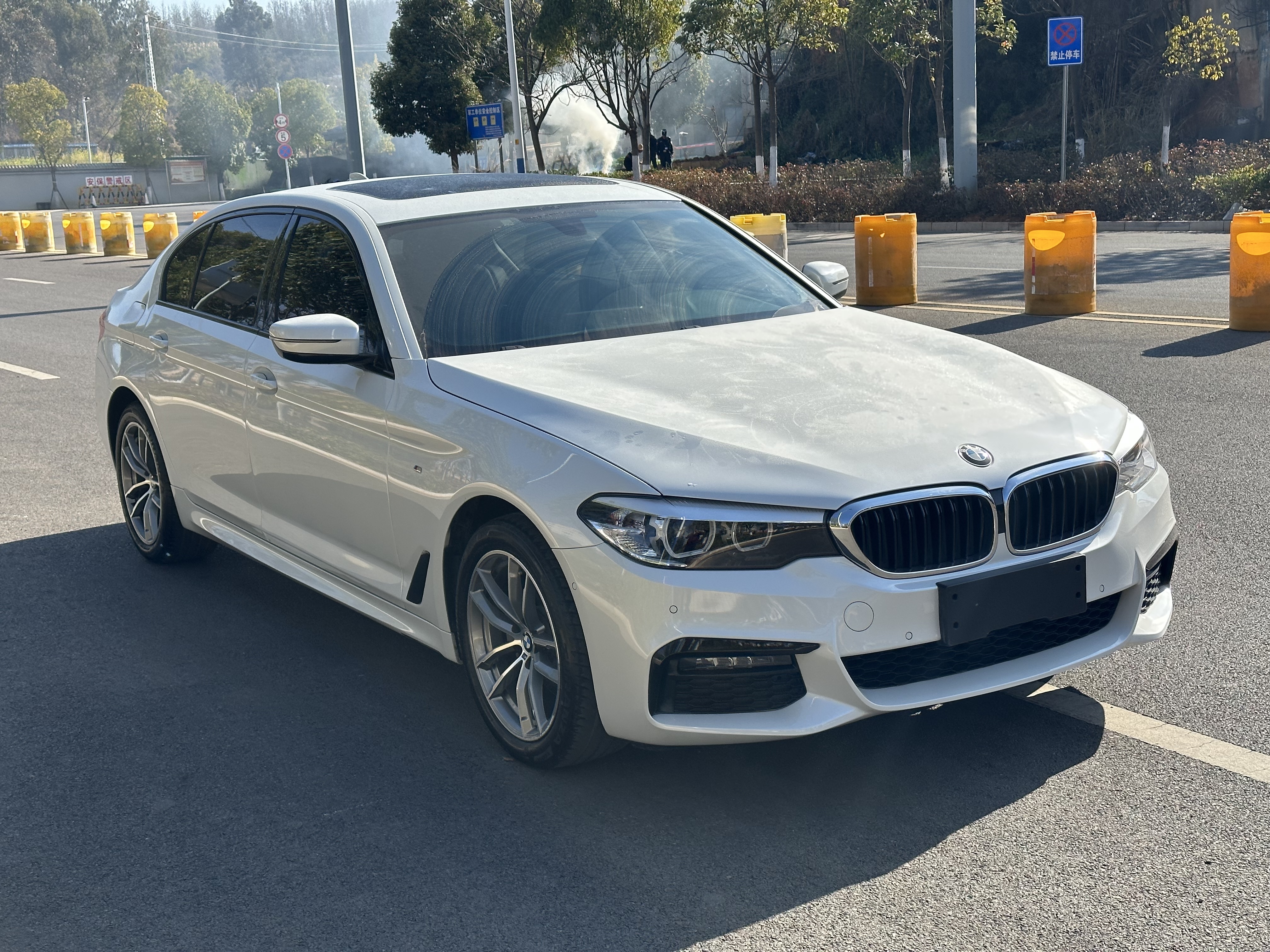BMW 5 Series 2019 car image #3