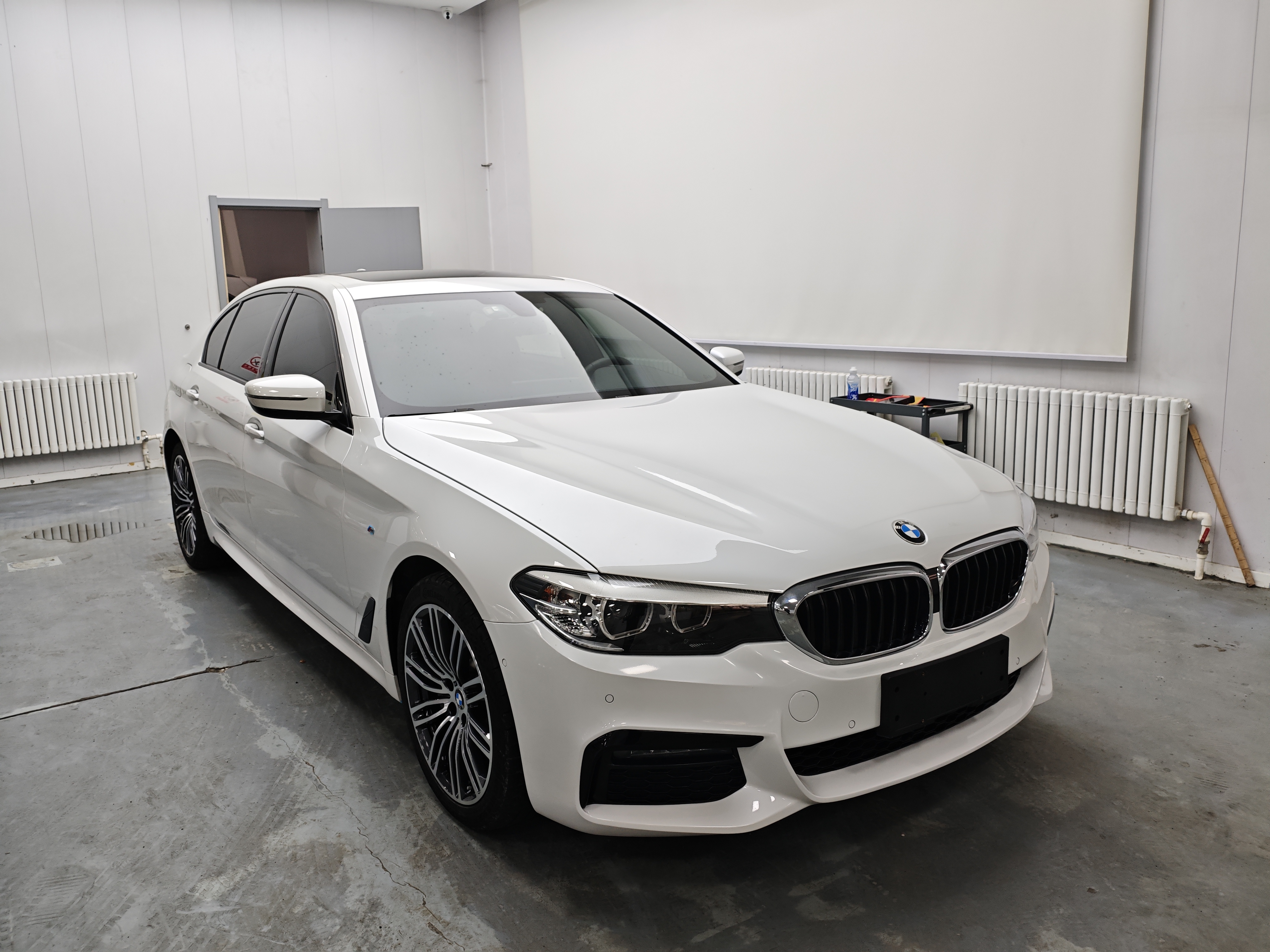 BMW 5 Series 2019 car image #3