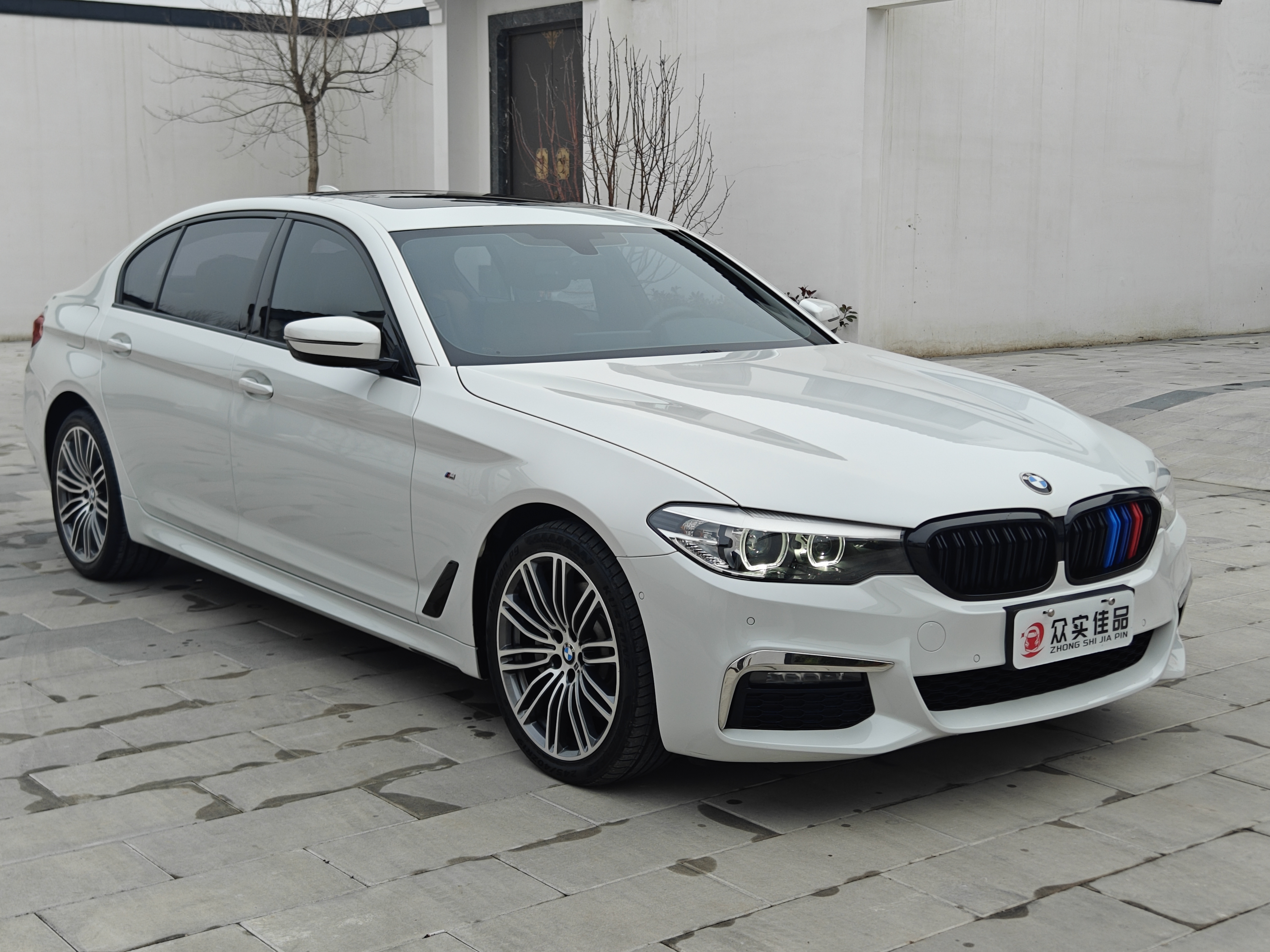 BMW 5 Series 2019 car image #3