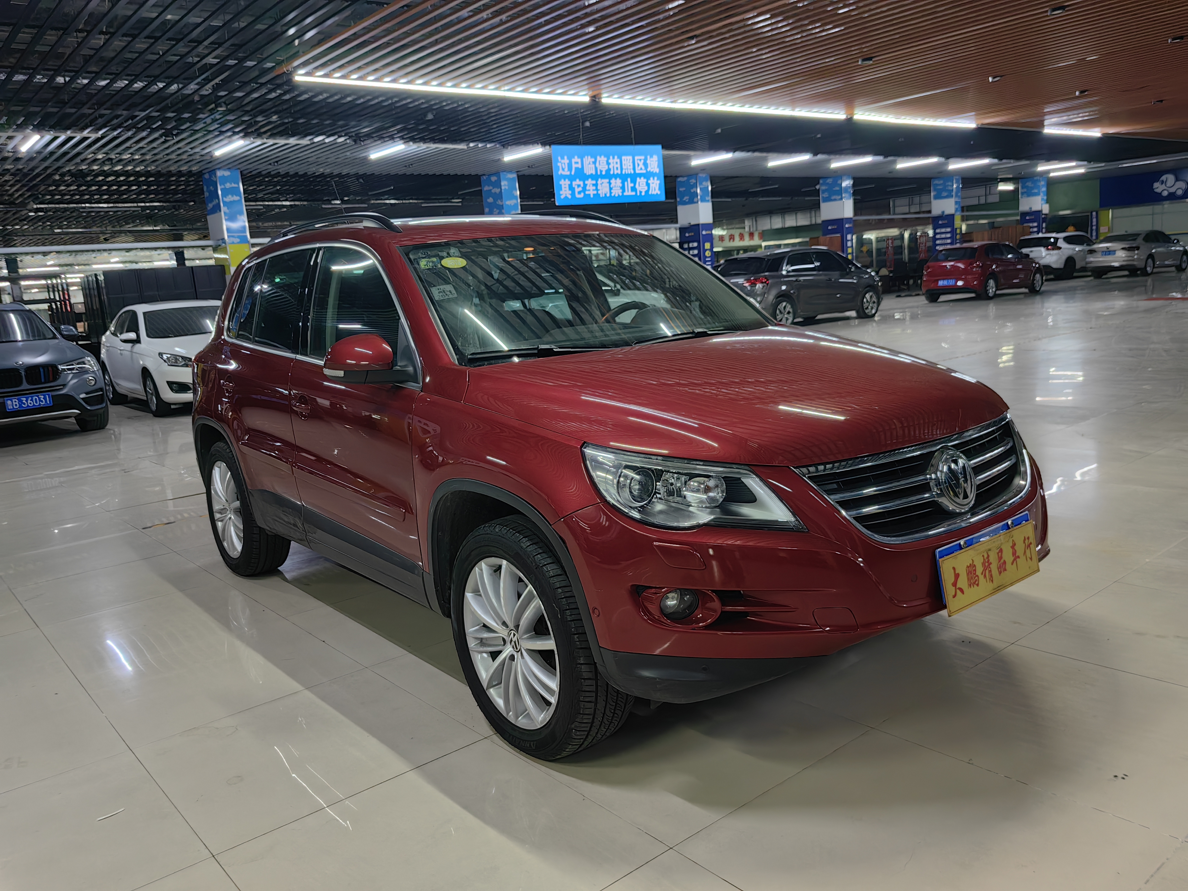 大众 Tiguan 2011 汽车图片 #3