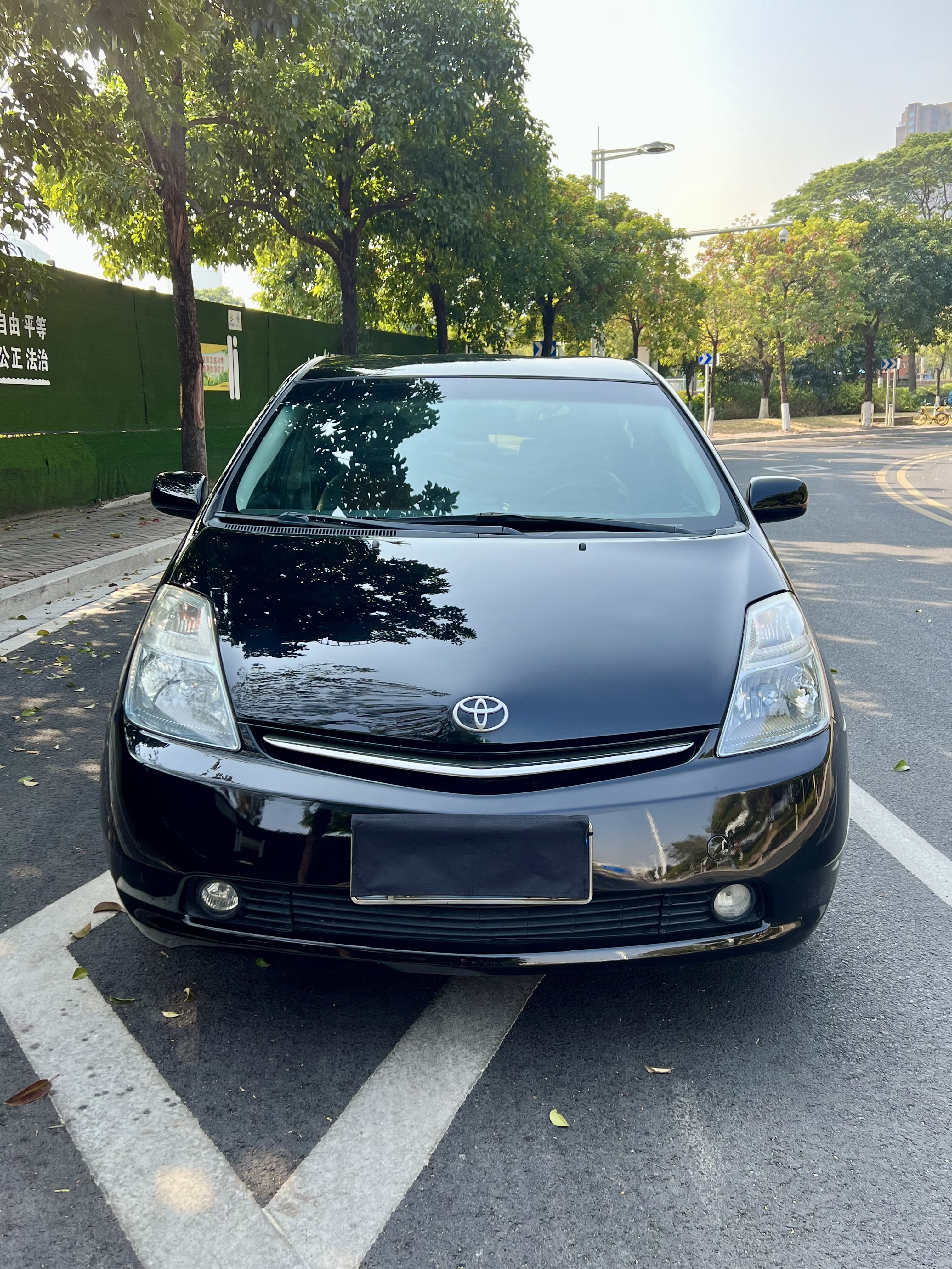 Toyota Prius 2008 car image #3