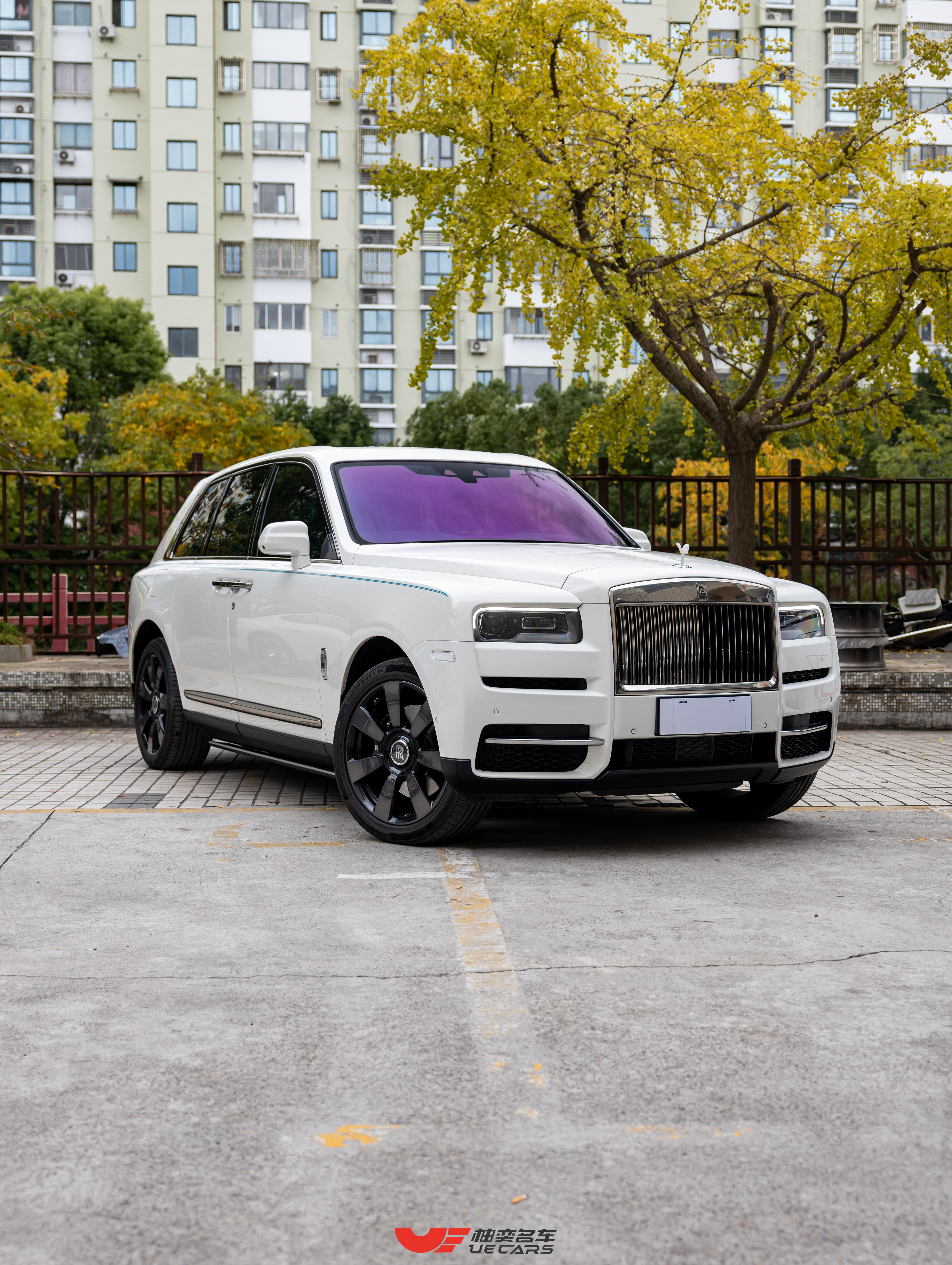 Rolls-Royce Cullinan 2021 immagine di auto #3