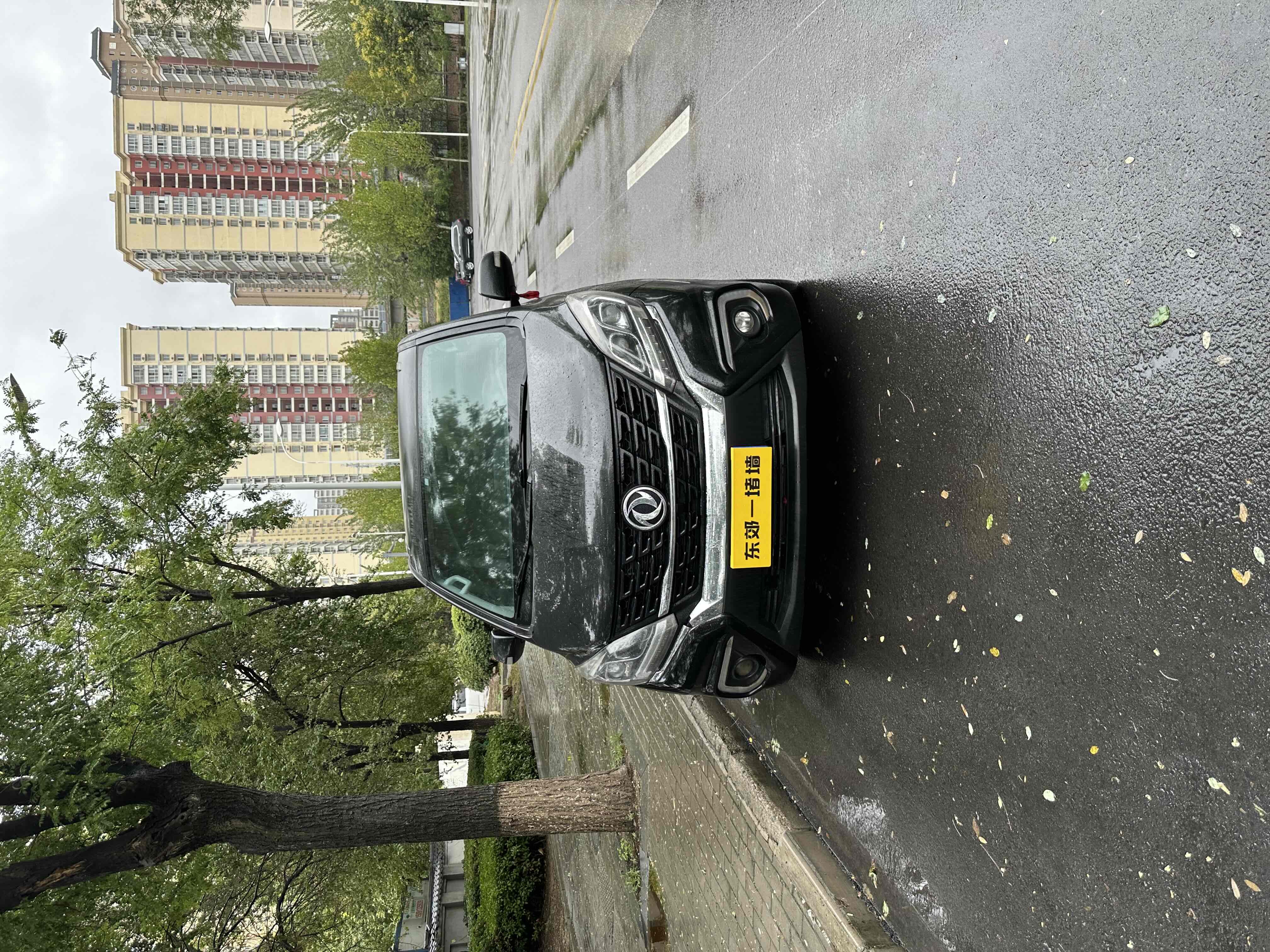 Forthing M6 2020 imagen de coche #3