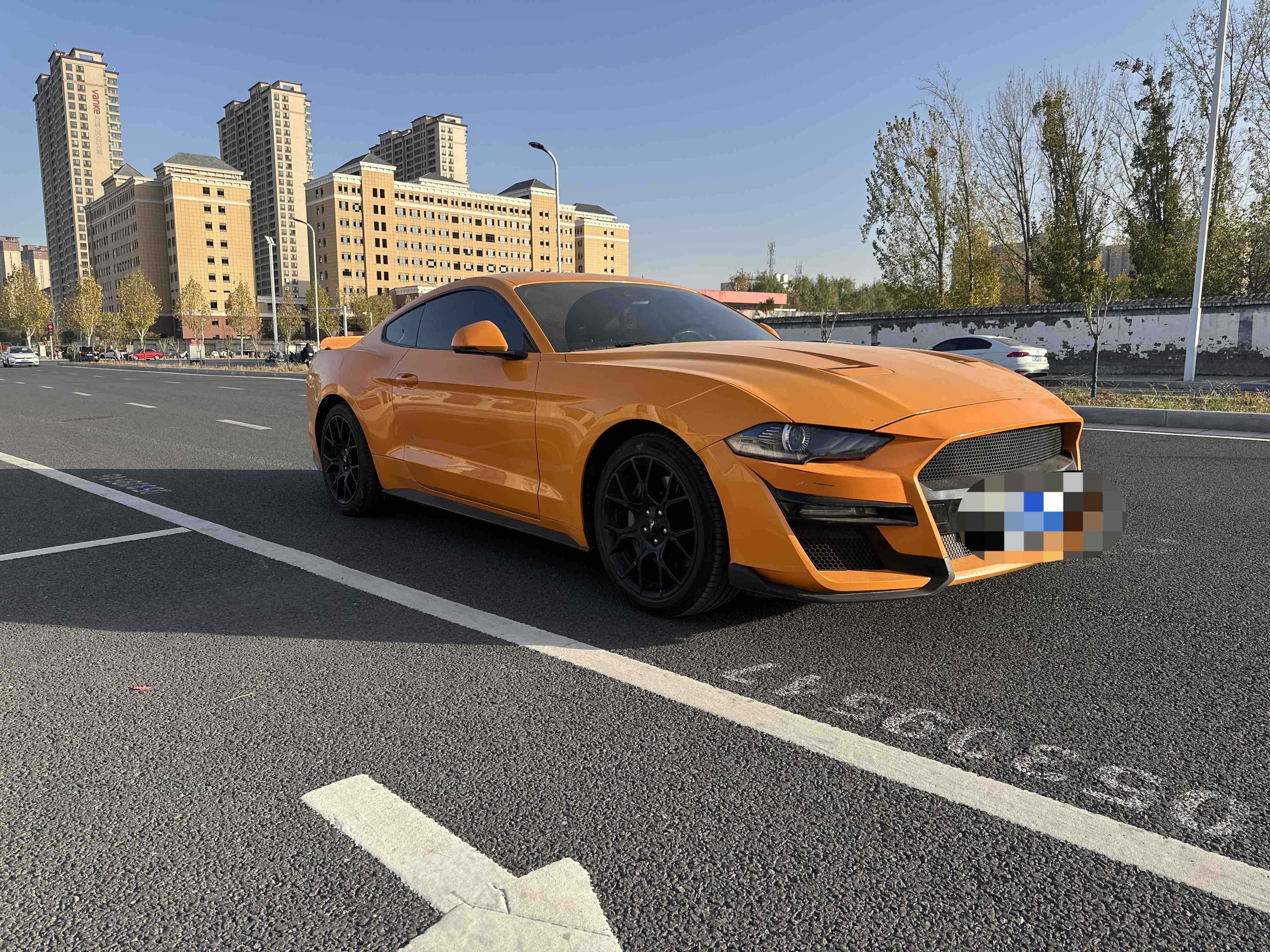 Ford 2019 #3 Ford 2019 car image #3