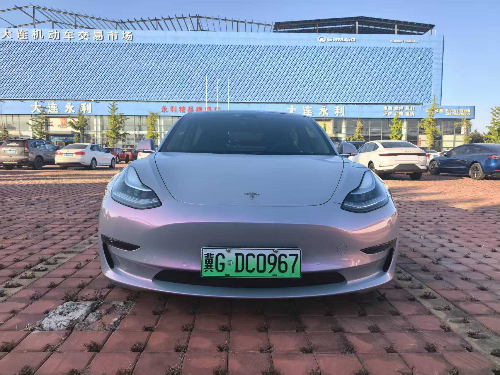 特斯拉 Model 3(进口) 2019 汽车图片 #3
