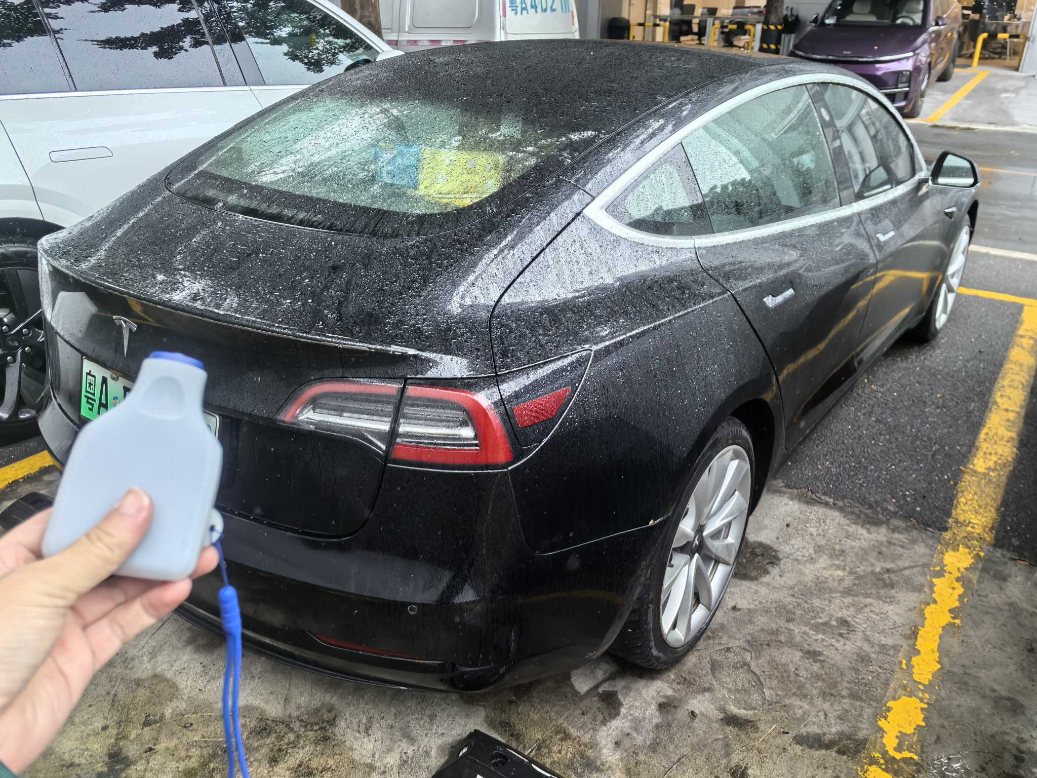 特斯拉 Model 3(进口) 2019 汽车图片 #3