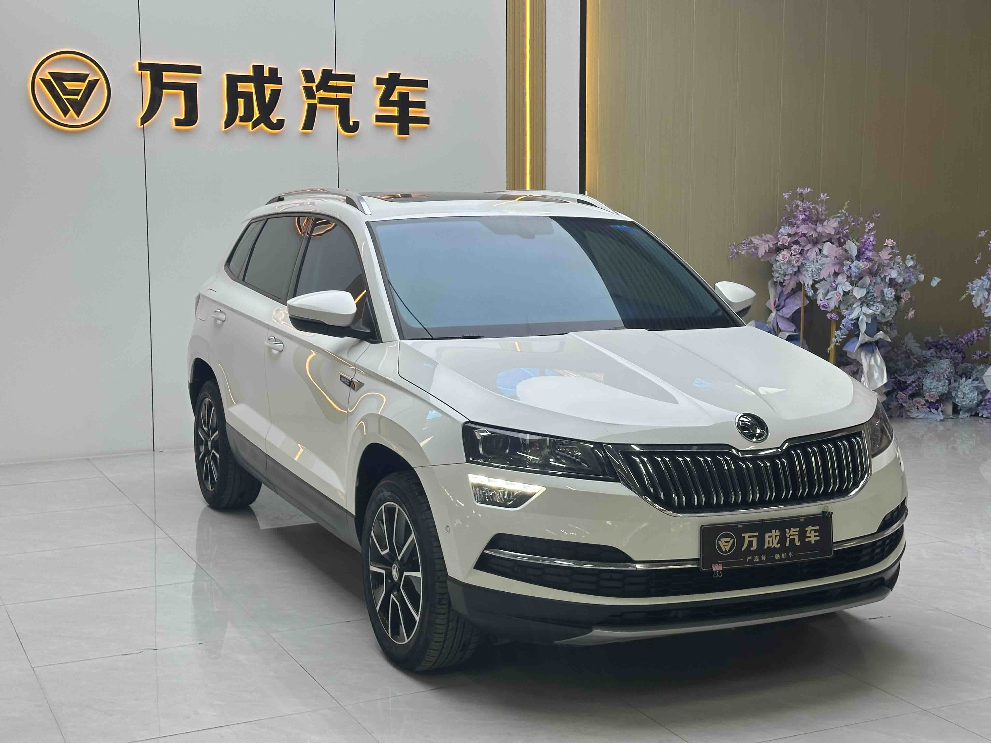 Skoda Karoq 2019 car image #3