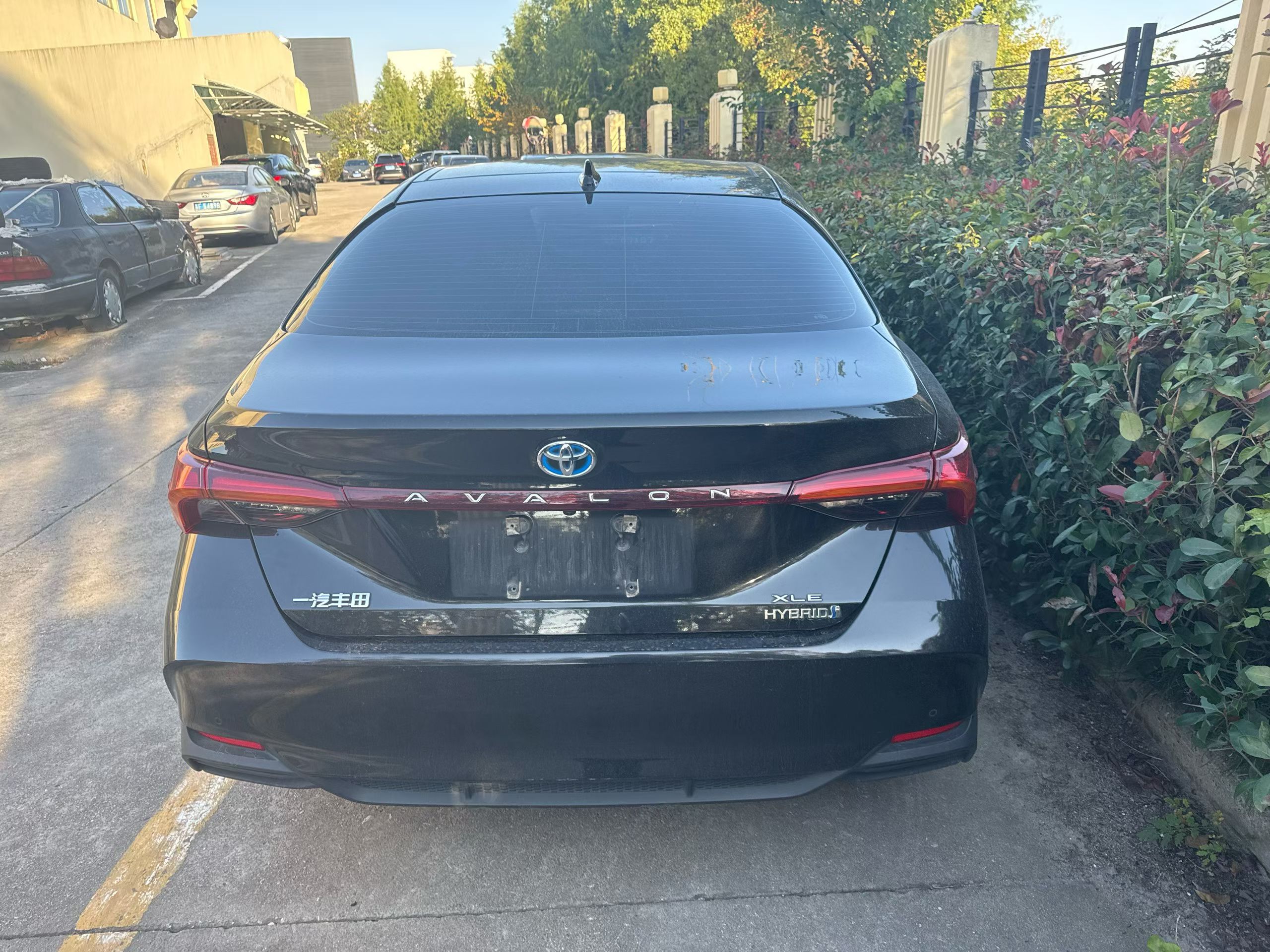 Toyota Avalon 2021 car image #3